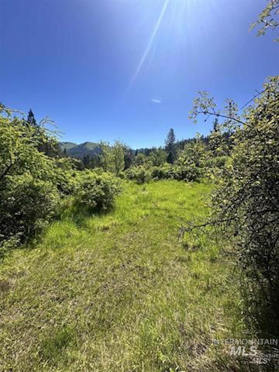 Tbd River View Lane Property Photo 2