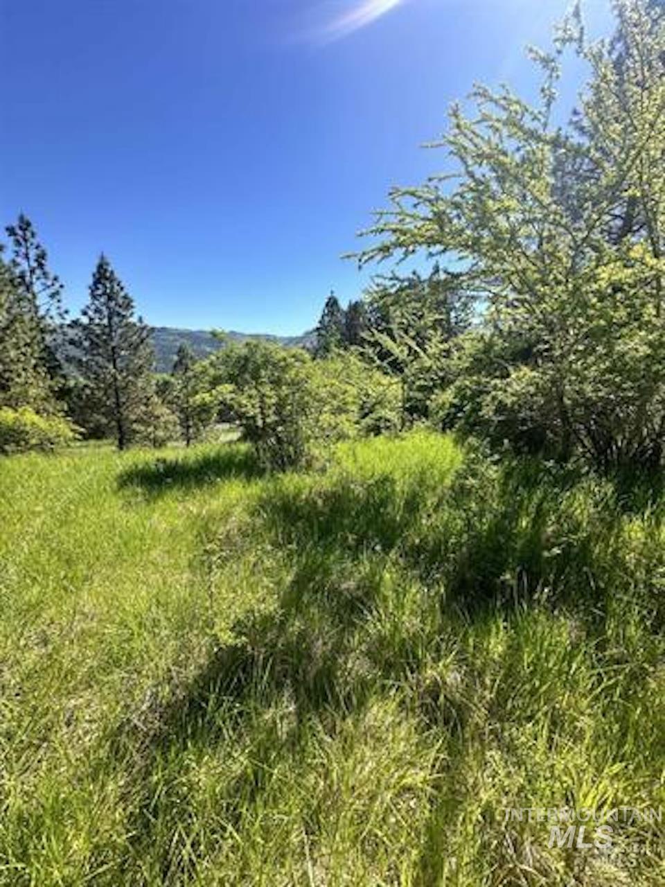 Tbd River View Lane Property Photo 3