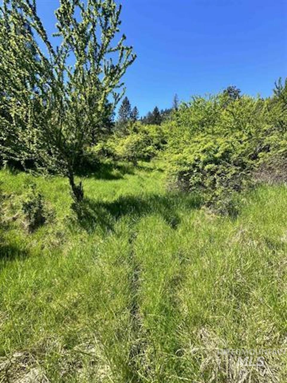 Tbd River View Lane Property Photo 4