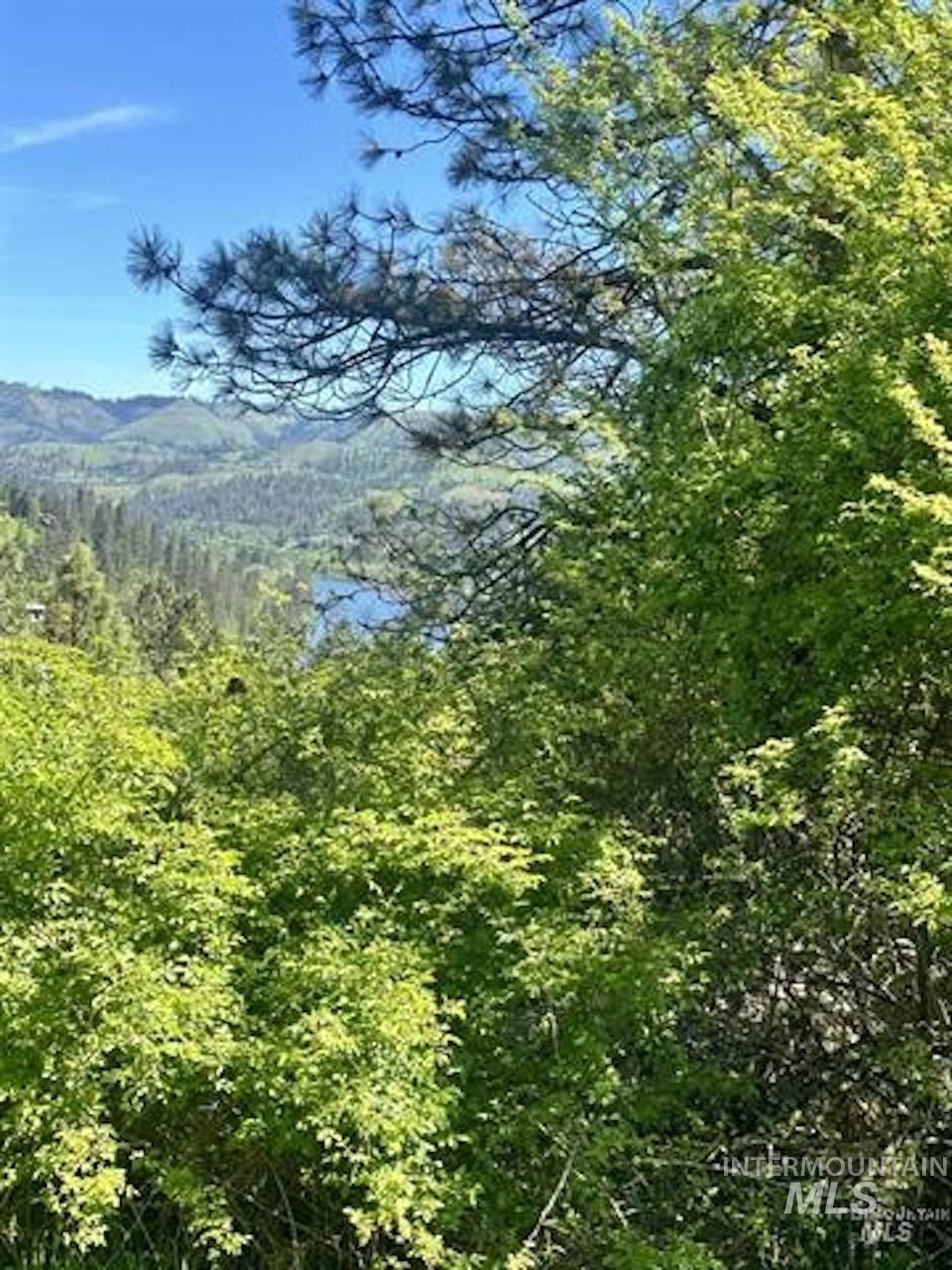 Tbd River View Lane Property Photo 6