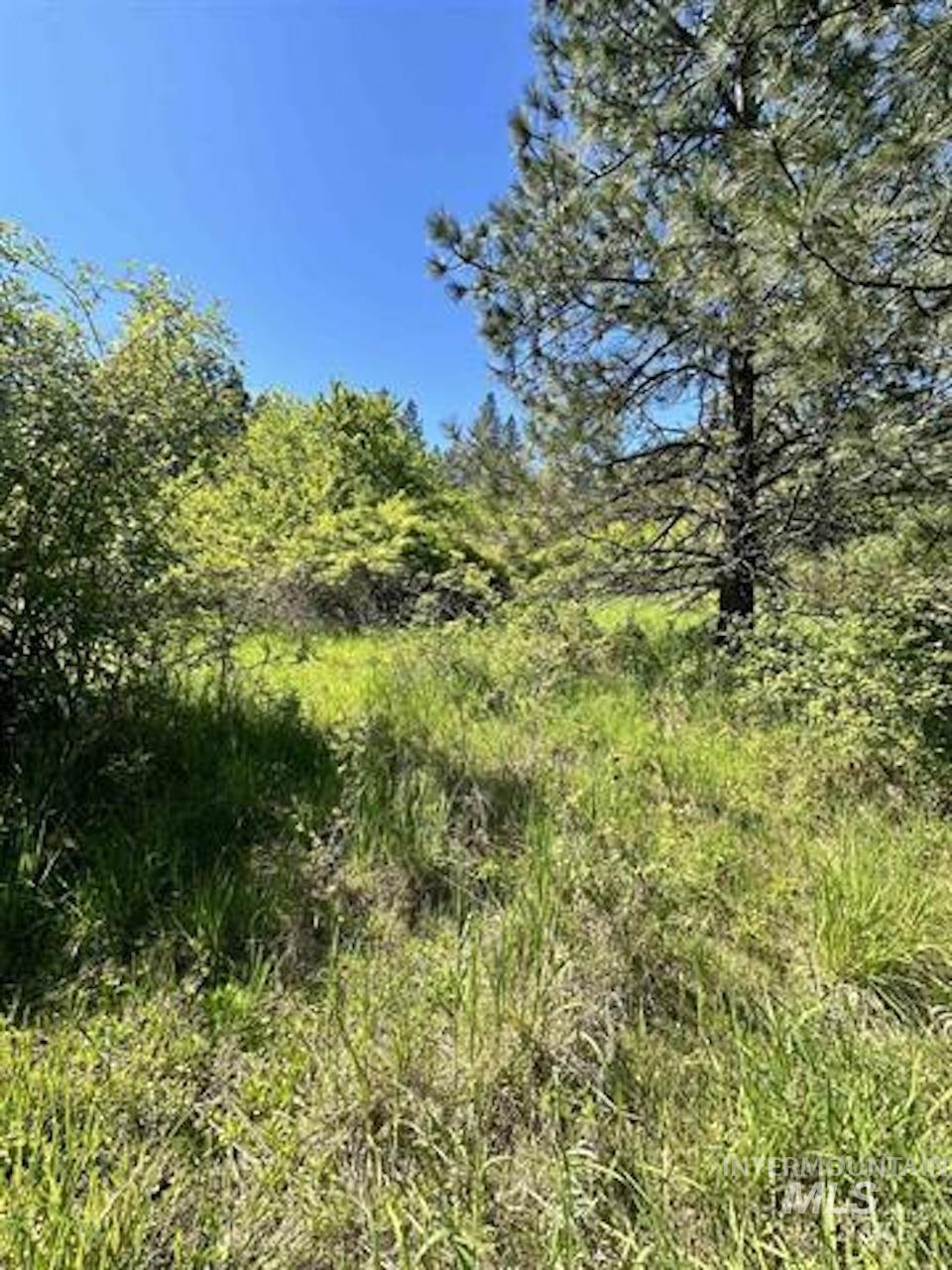 Tbd River View Lane Property Photo 7