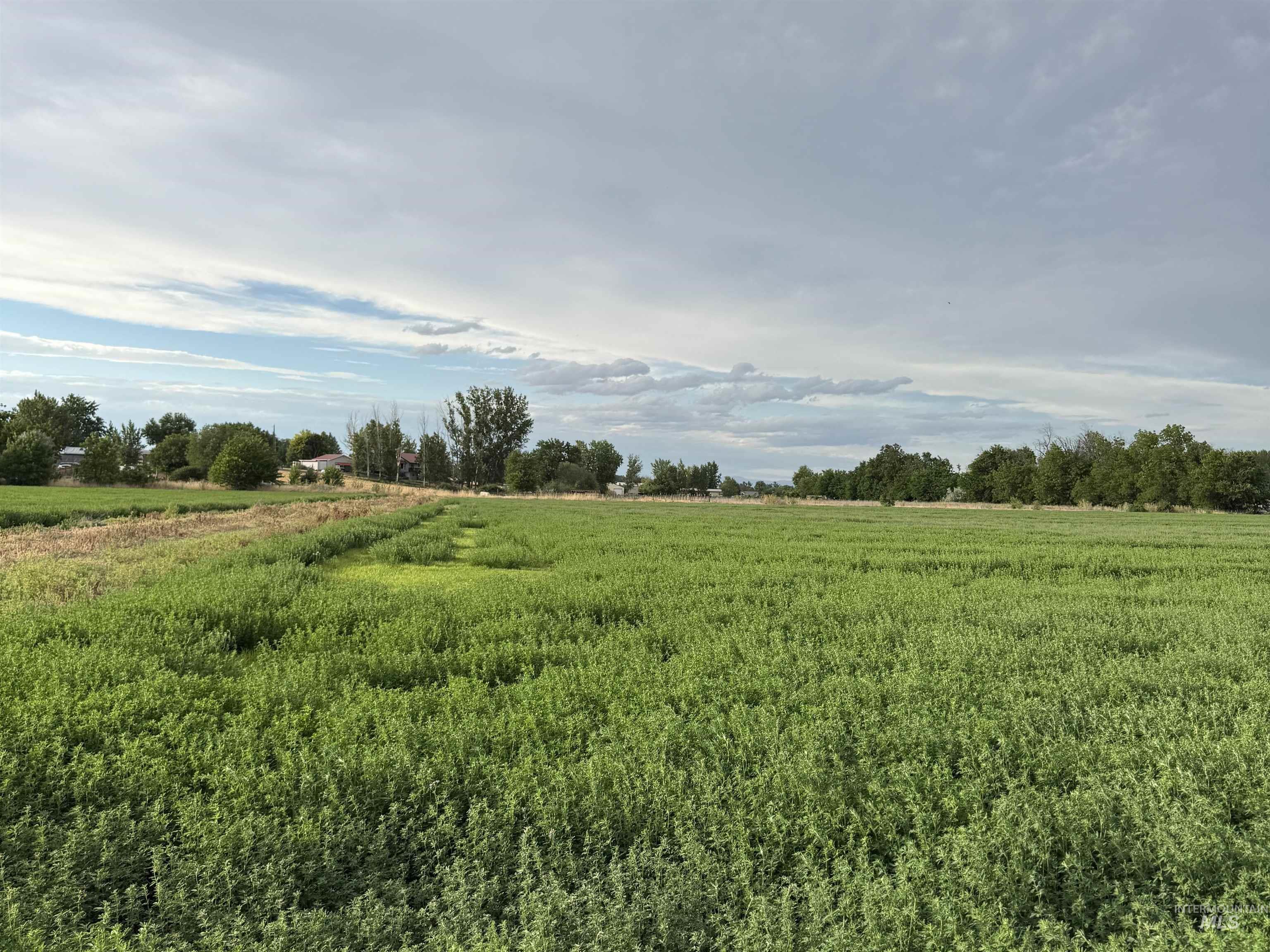 Tbd Hwy 95 Property Photo 5