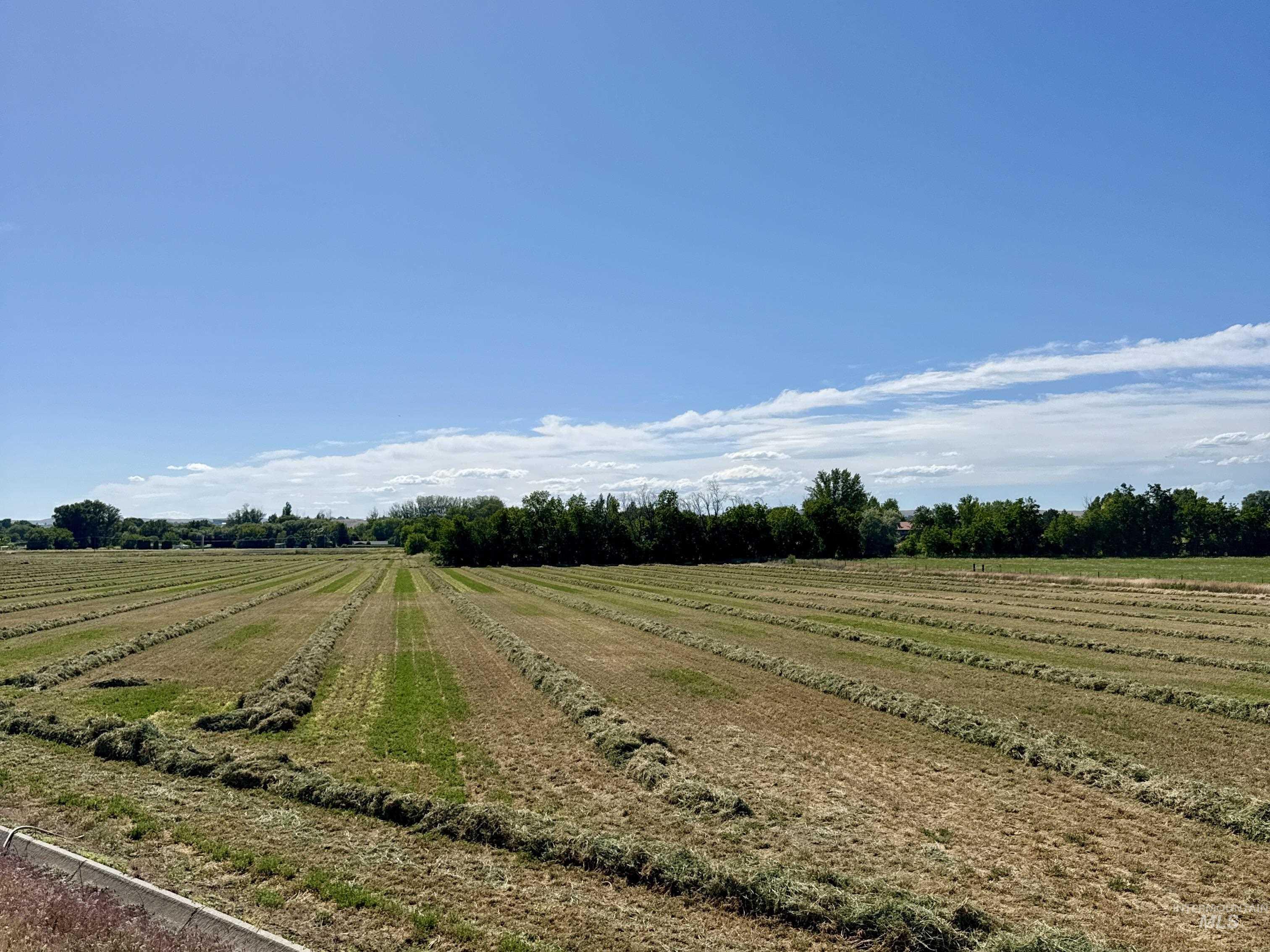 Tbd Hwy 95 Property Photo 8