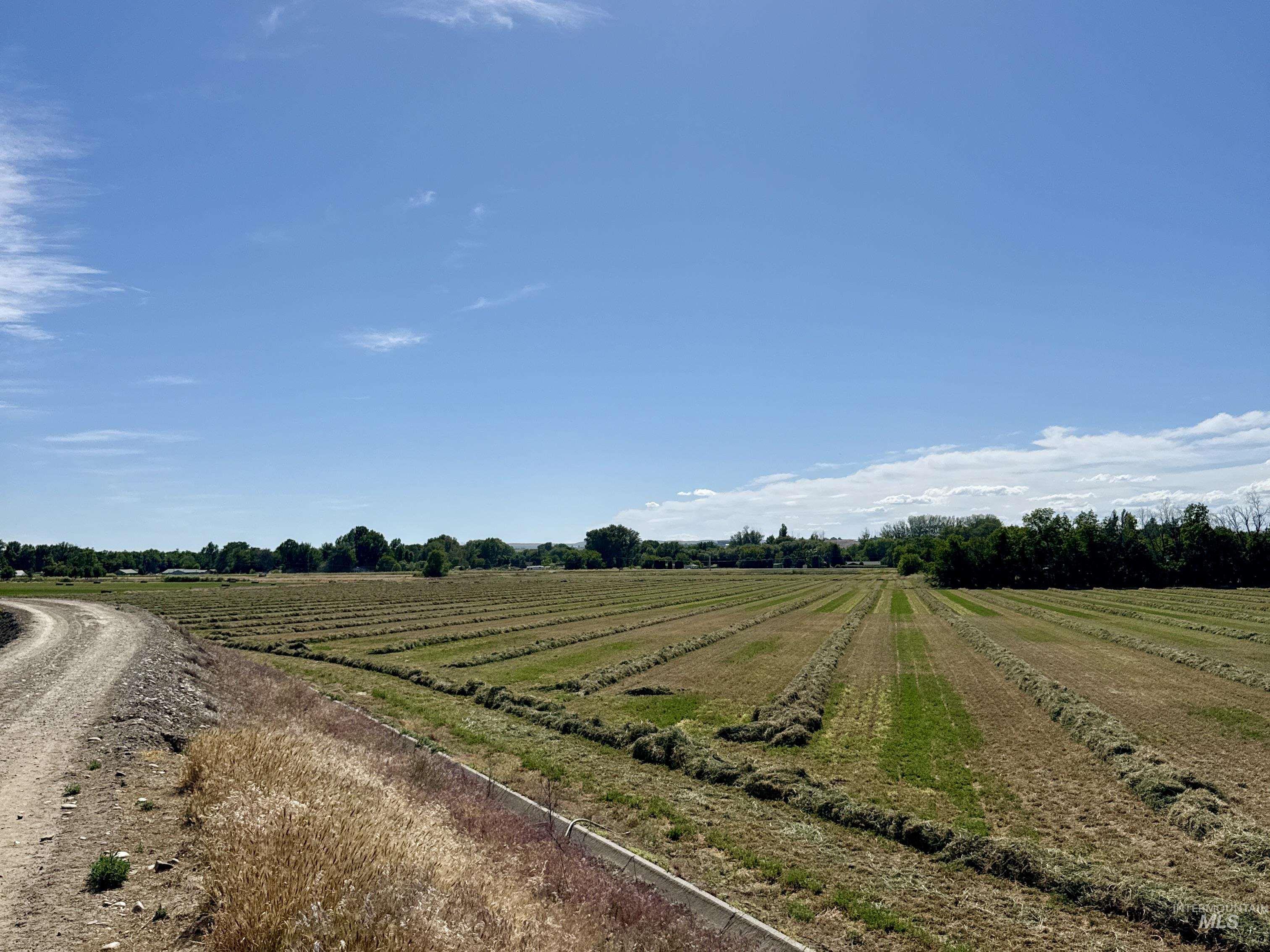 Tbd Hwy 95 Property Photo 17