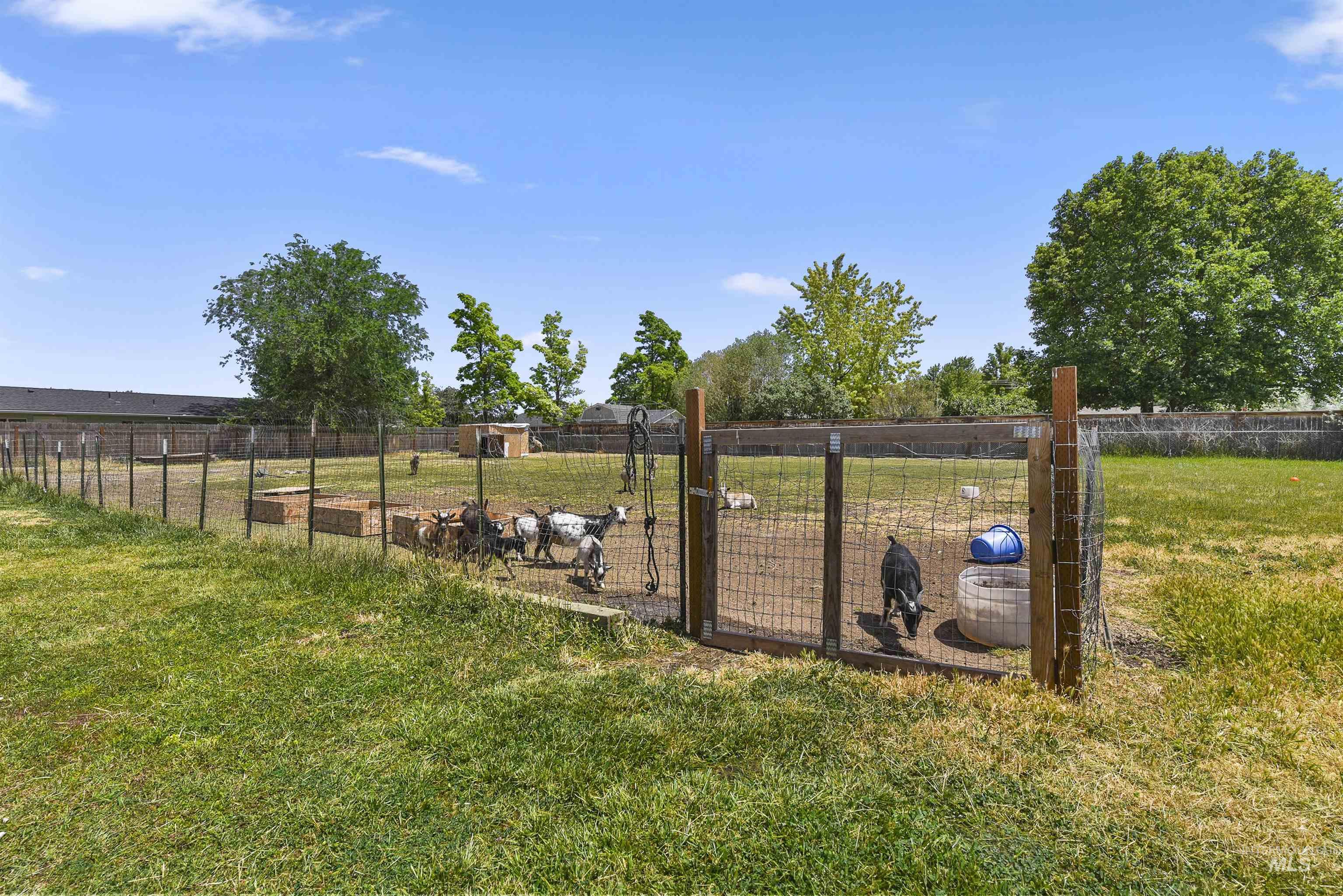 3819 S Montana Property Photo 34