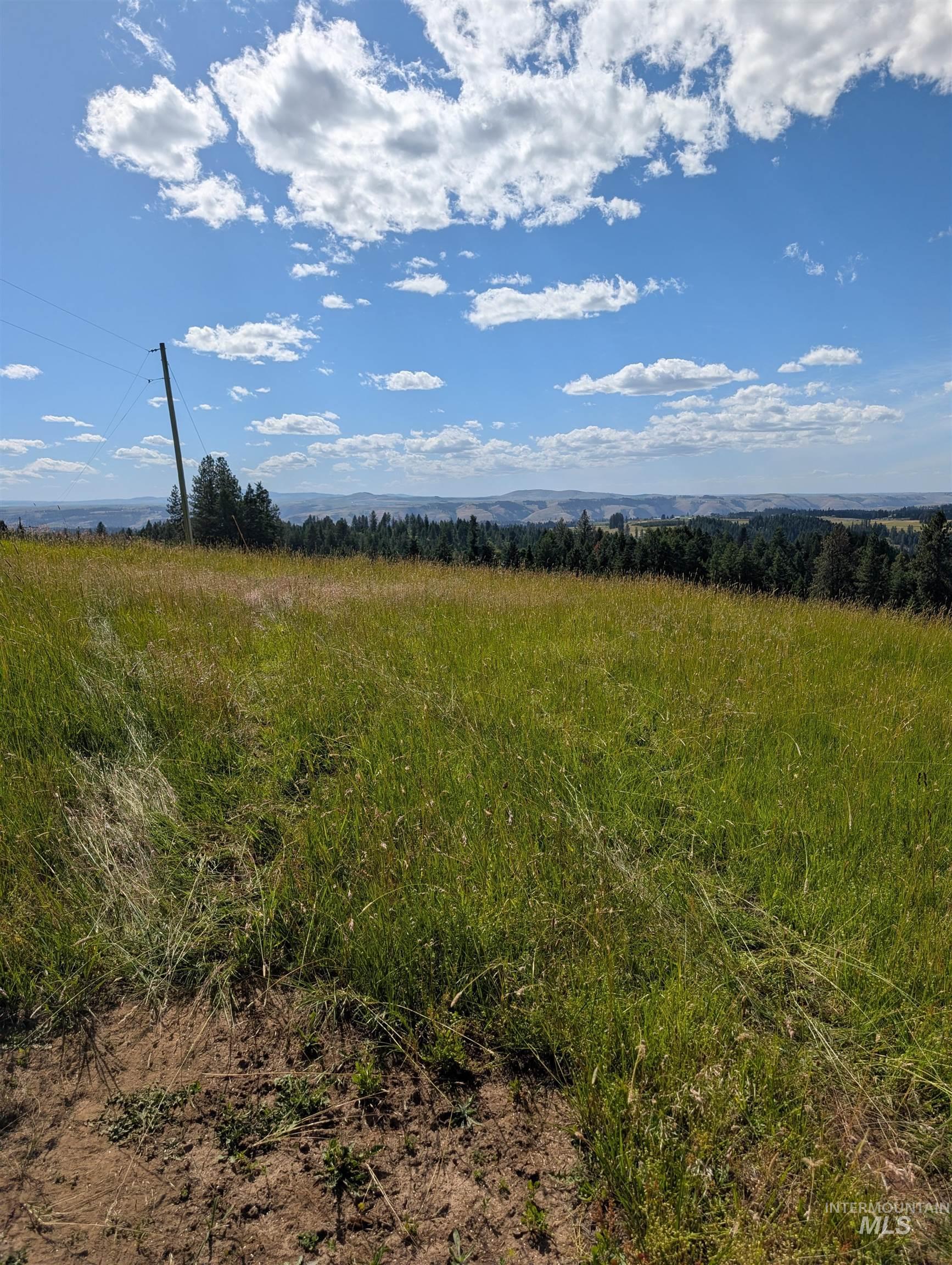 Parcel 13 Red Fir Road Property Photo 6