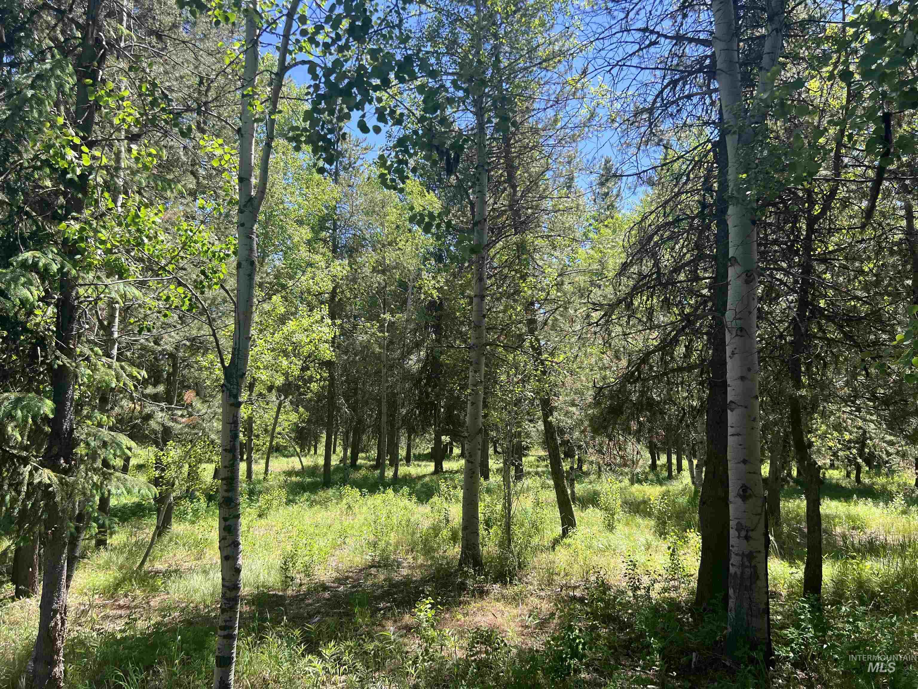 Lot 1 Chad Drive