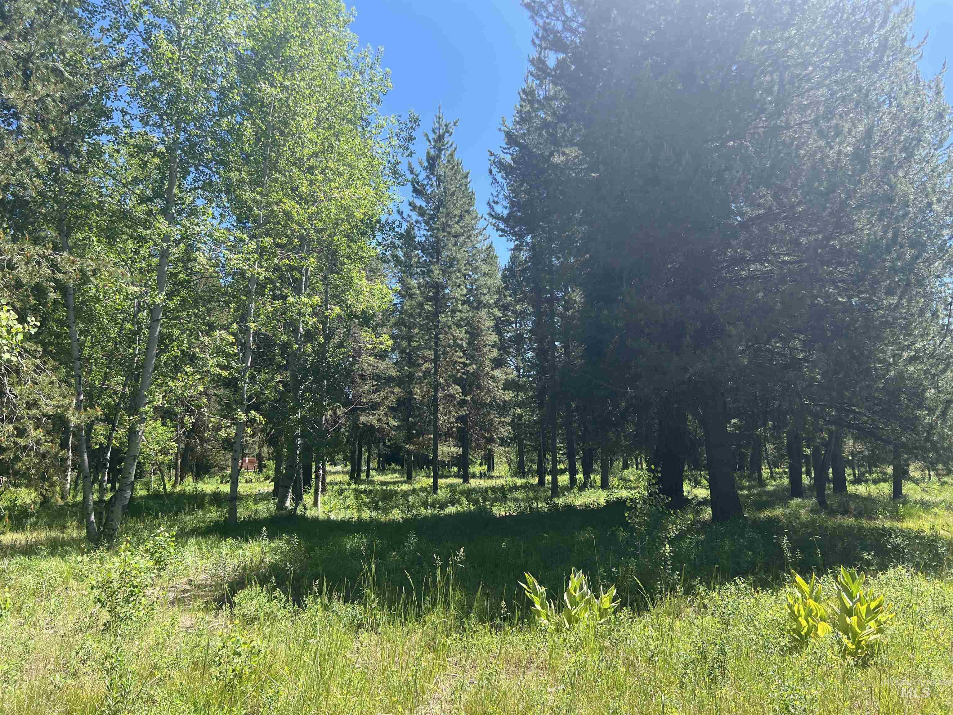 Lot 1 Chad Drive Property Photo 2