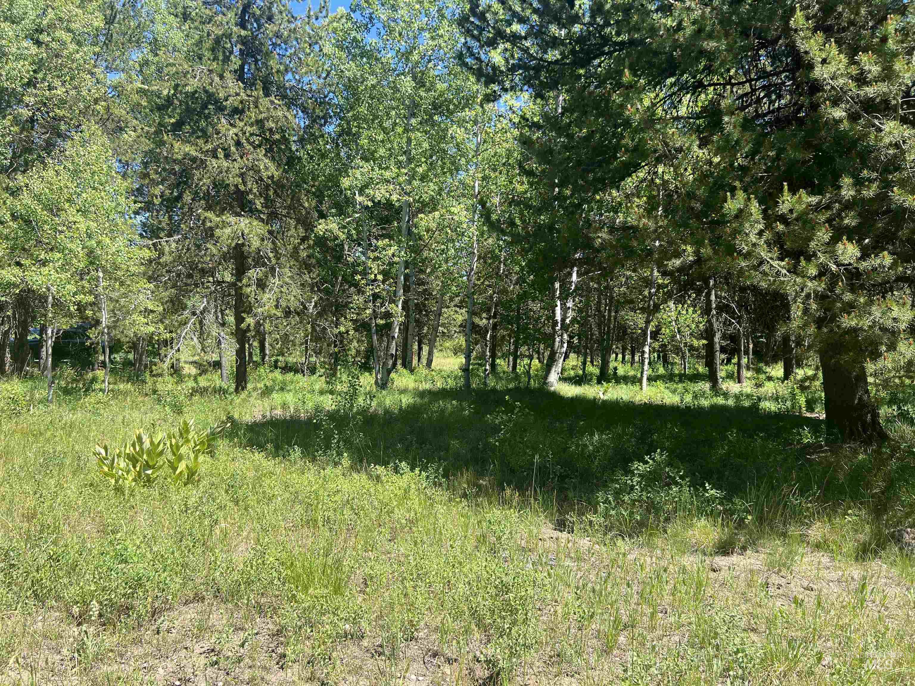 Lot 1 Chad Drive Property Photo 3