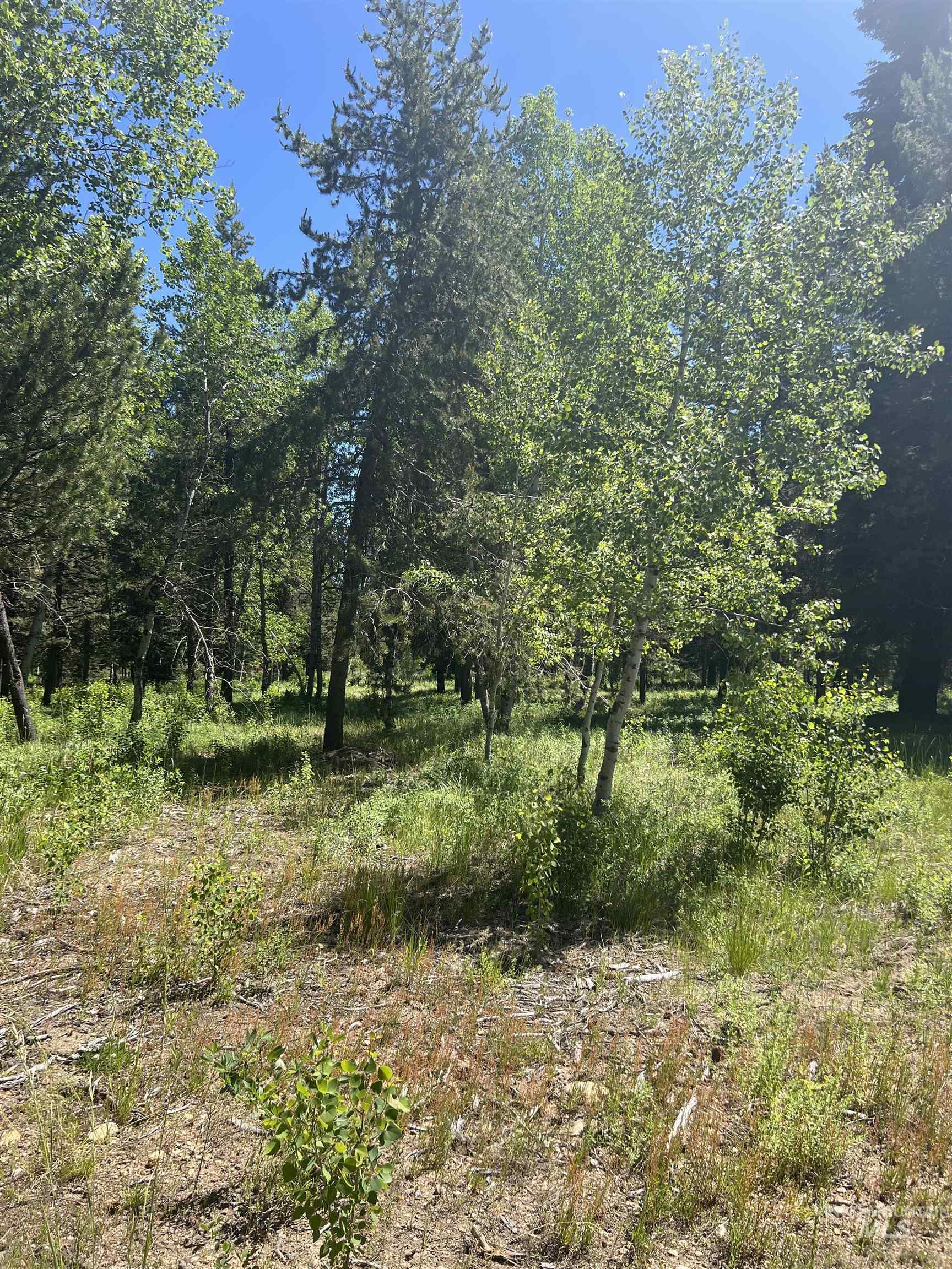 Lot 1 Chad Drive Property Photo 5
