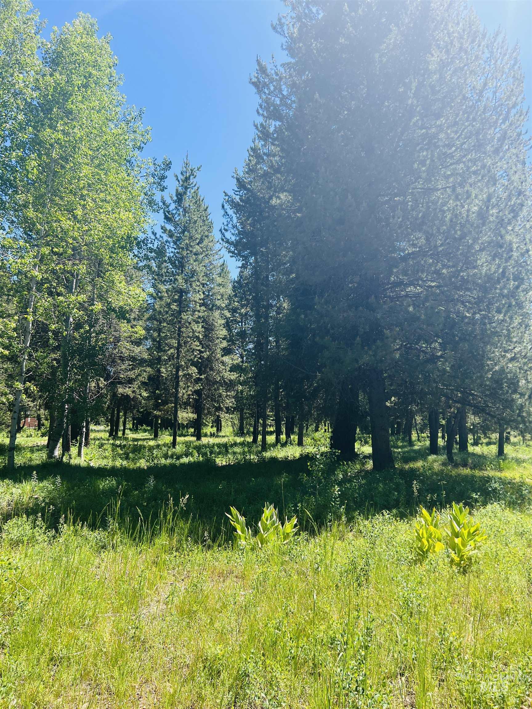 Lot 1 Chad Drive Property Photo 7