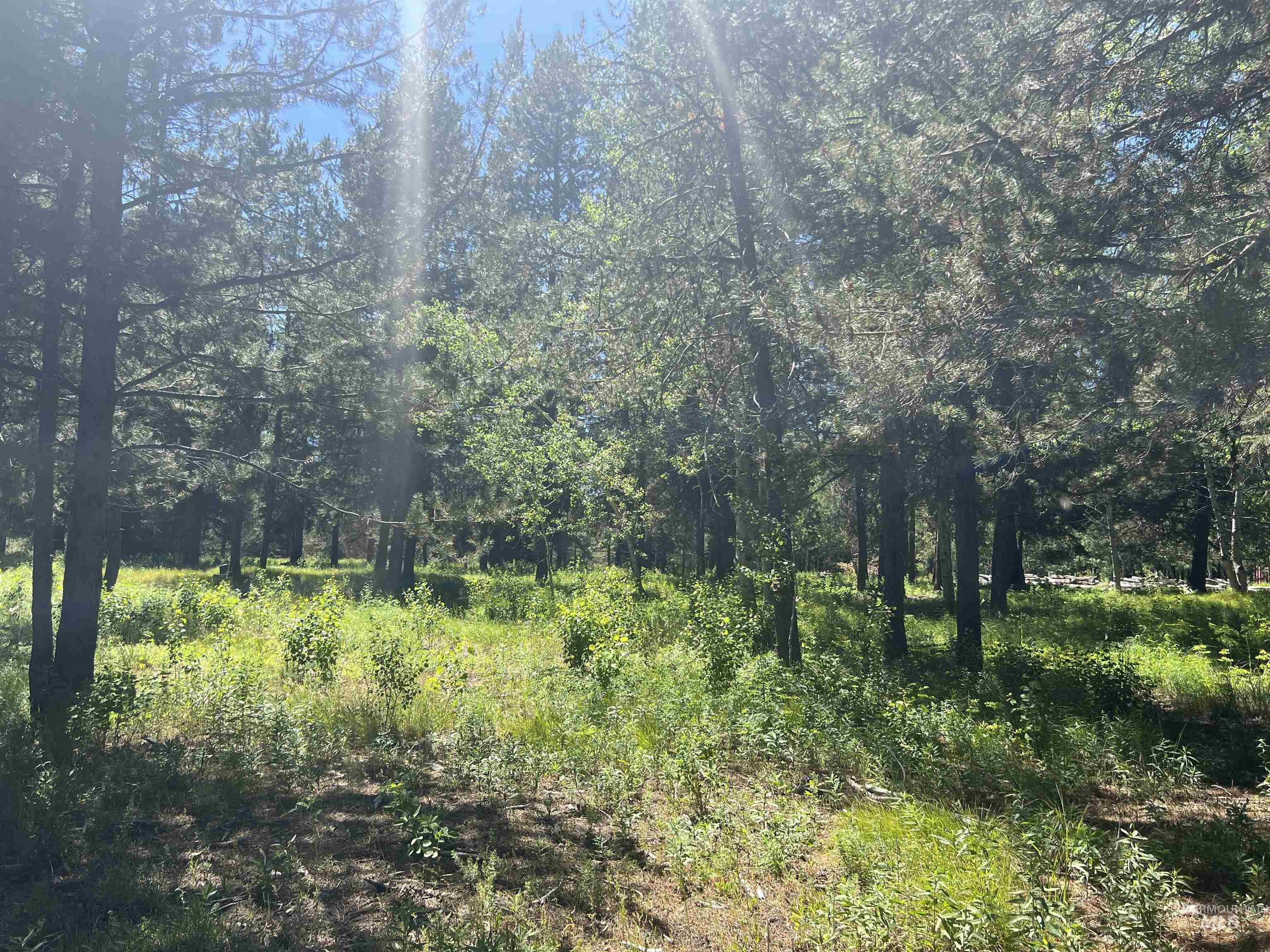 Lot 1 Chad Drive Property Photo 8