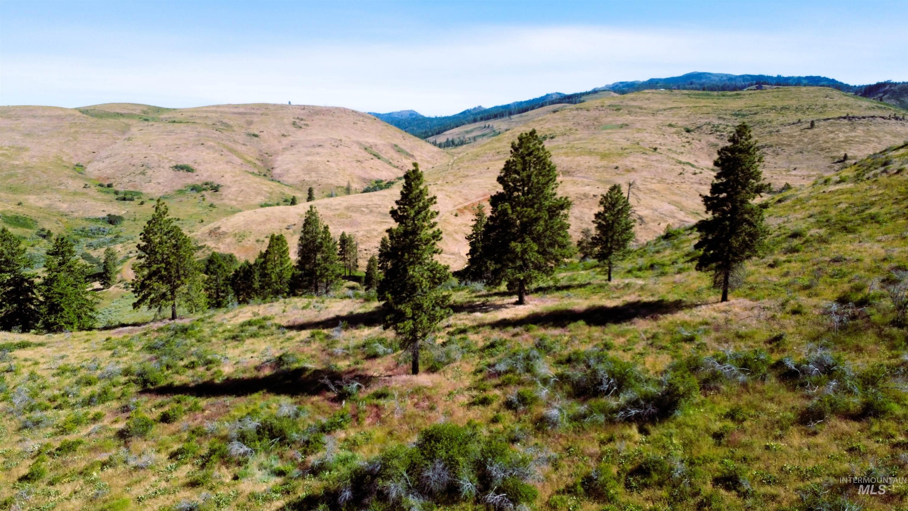 Tbd Advent Gulch Rd. Property Photo 1