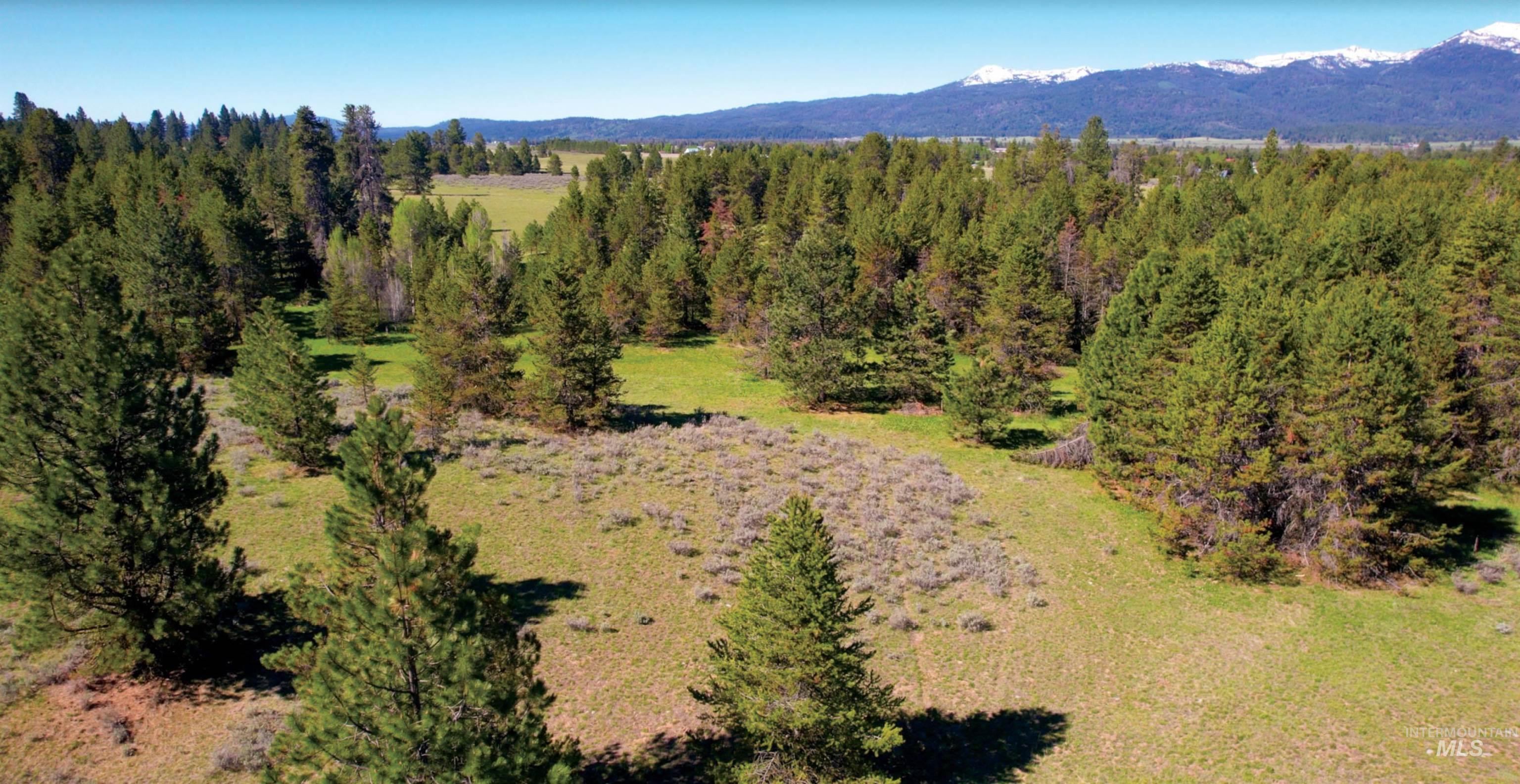 ±320 Acres Big Creek Meadows Property Photo 1