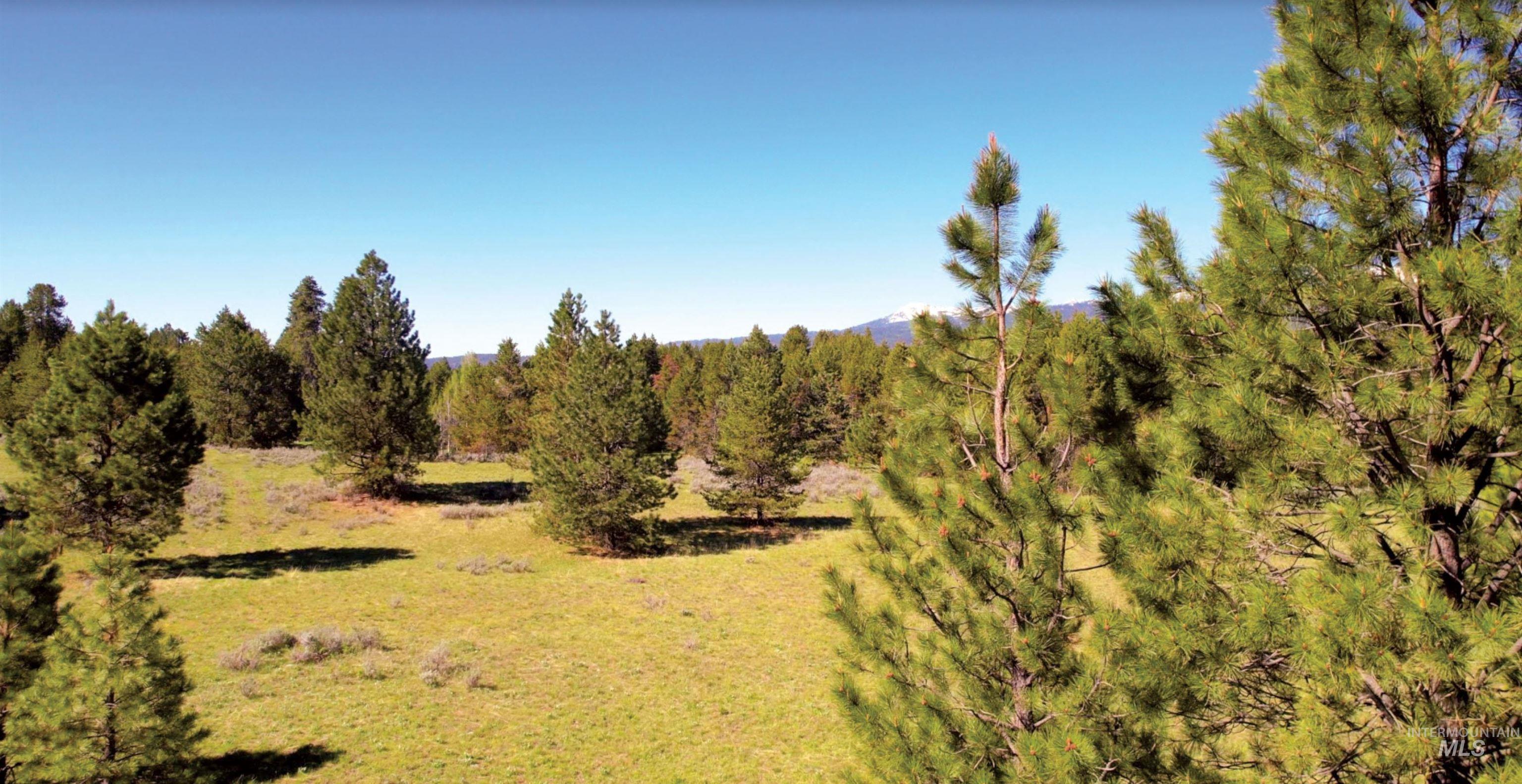 ±320 Acres Big Creek Meadows Property Photo 10