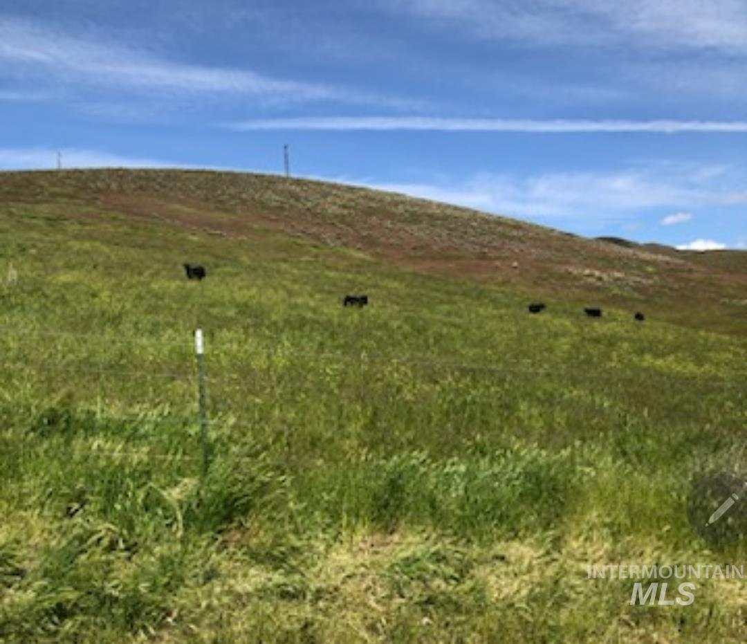 2871 Hwy 12 Property Photo 14