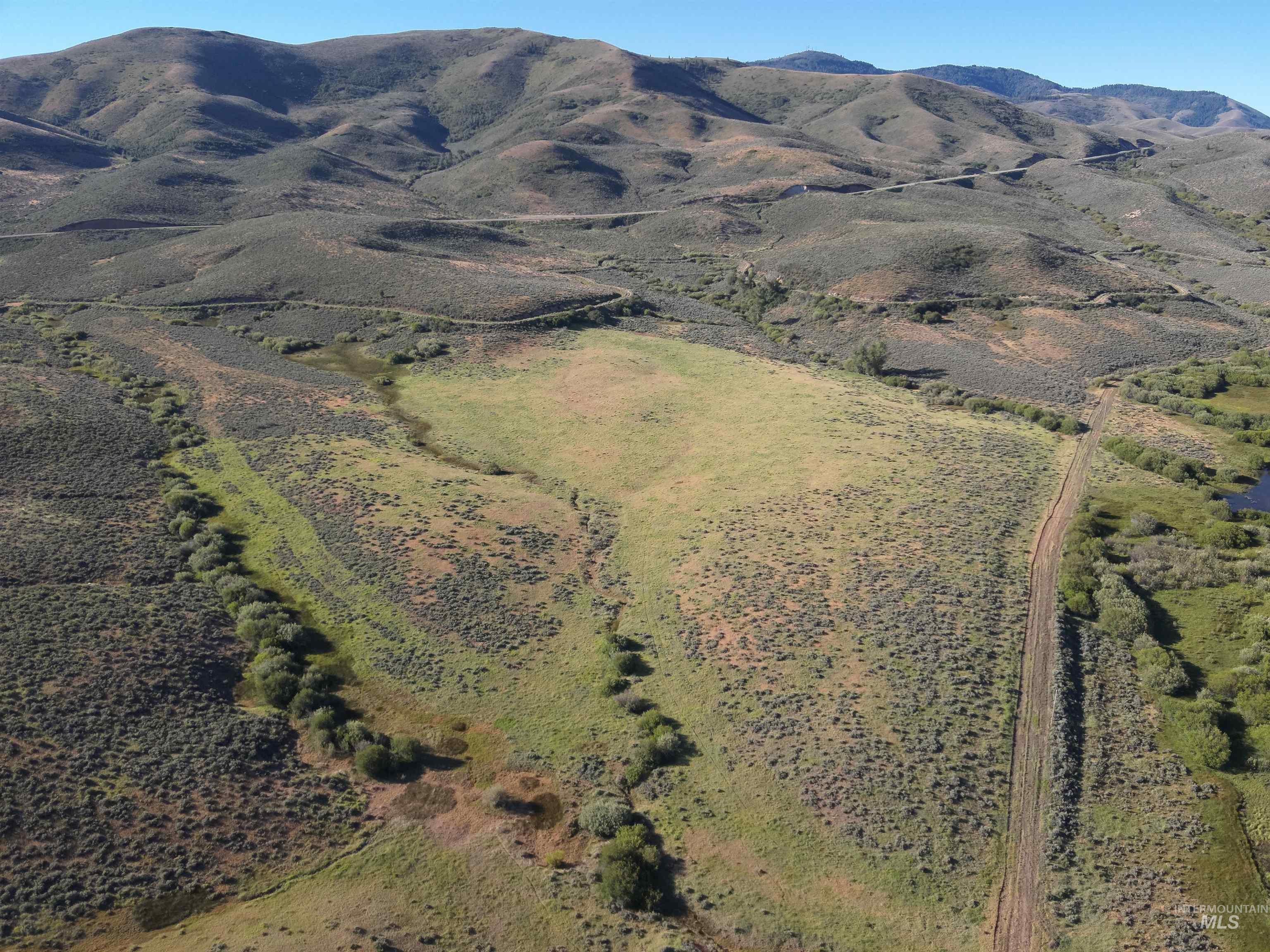 Tbd Dixie Creek Rd 365 Acres Property Photo 5
