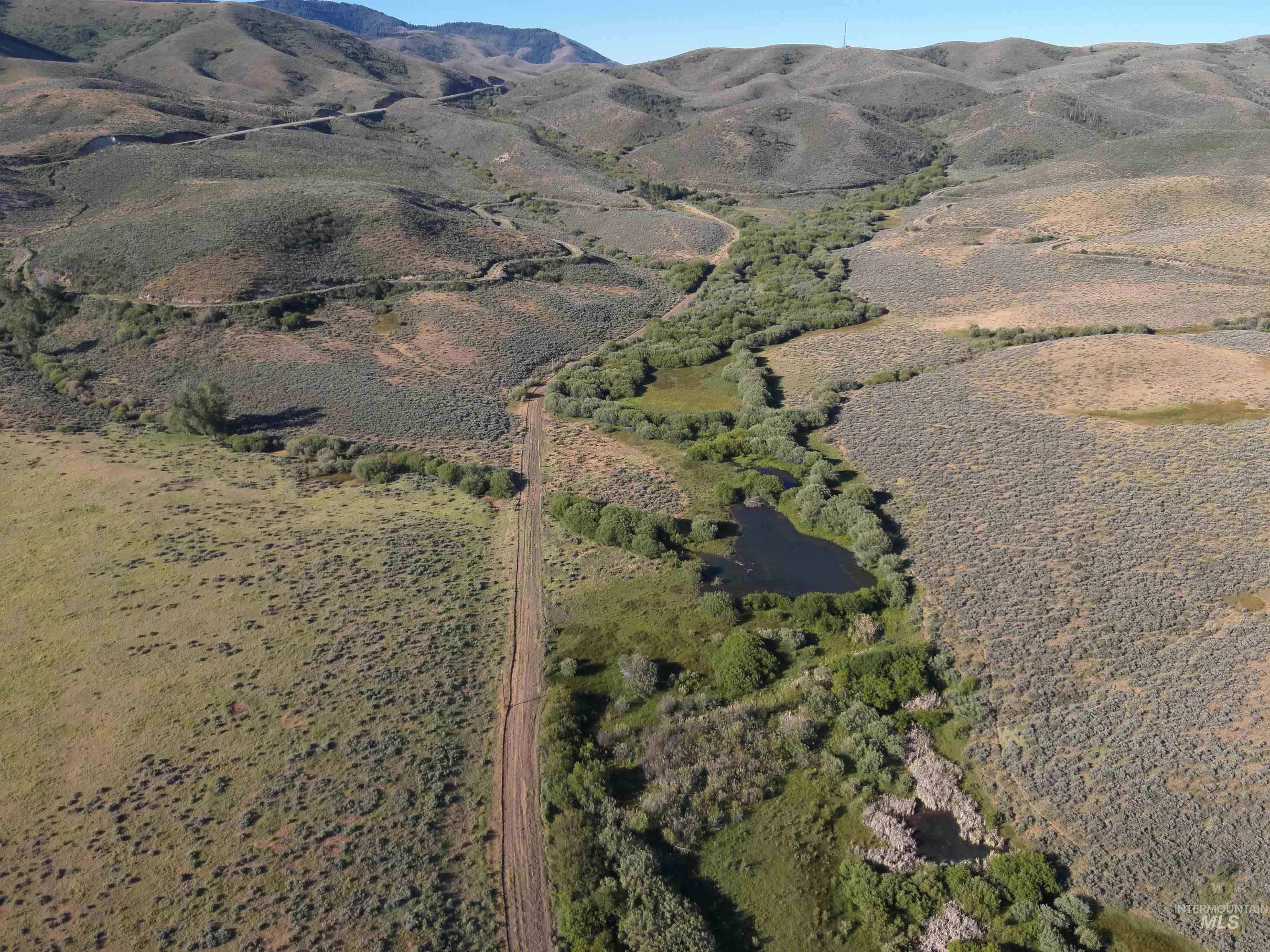 Tbd Dixie Creek Rd 365 Acres Property Photo 6