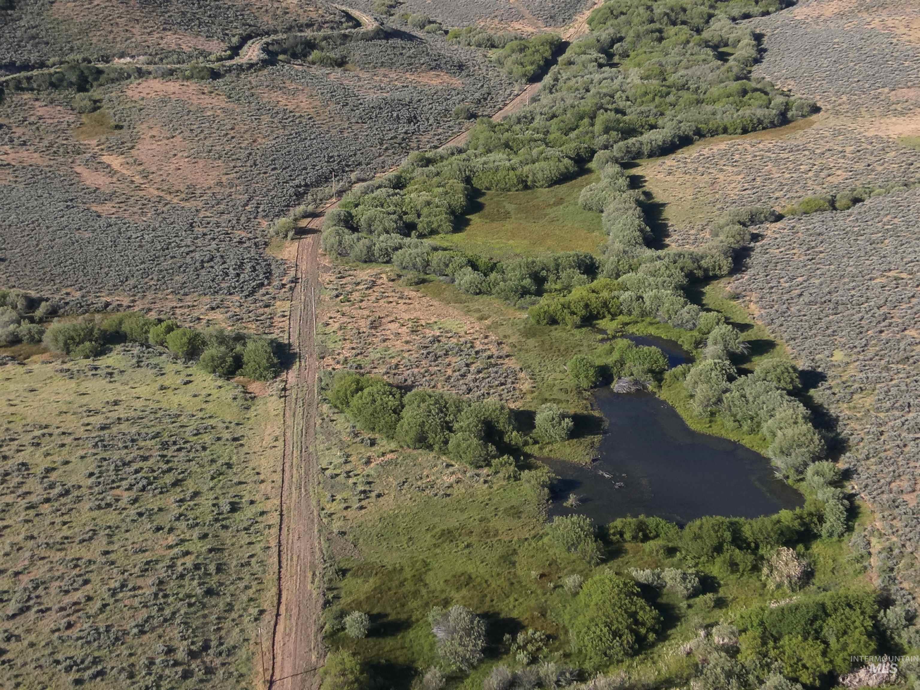 Tbd Dixie Creek Rd 365 Acres Property Photo 7