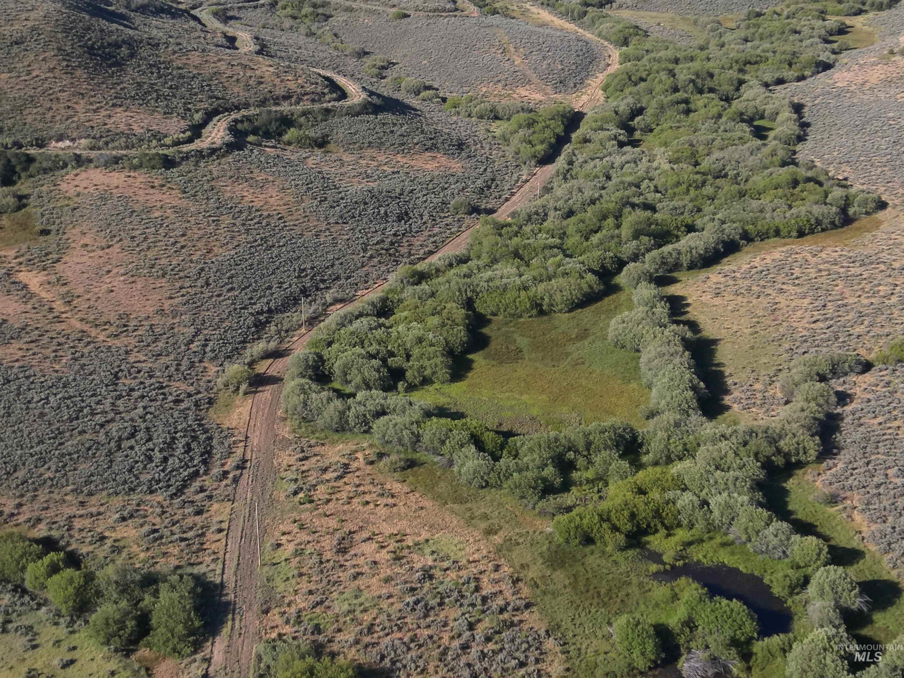 Tbd Dixie Creek Rd 365 Acres Property Photo 8