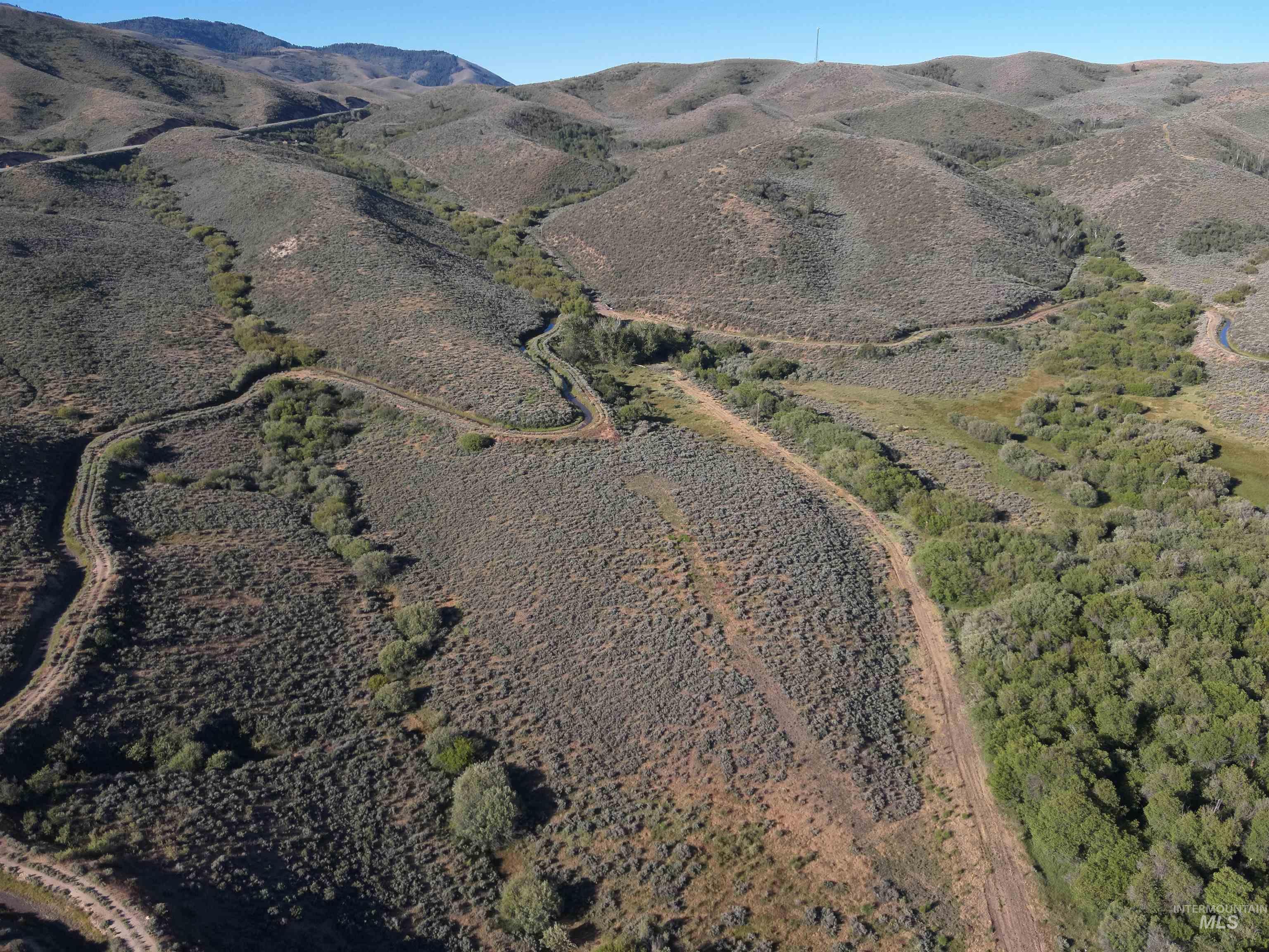 Tbd Dixie Creek Rd 365 Acres Property Photo 9