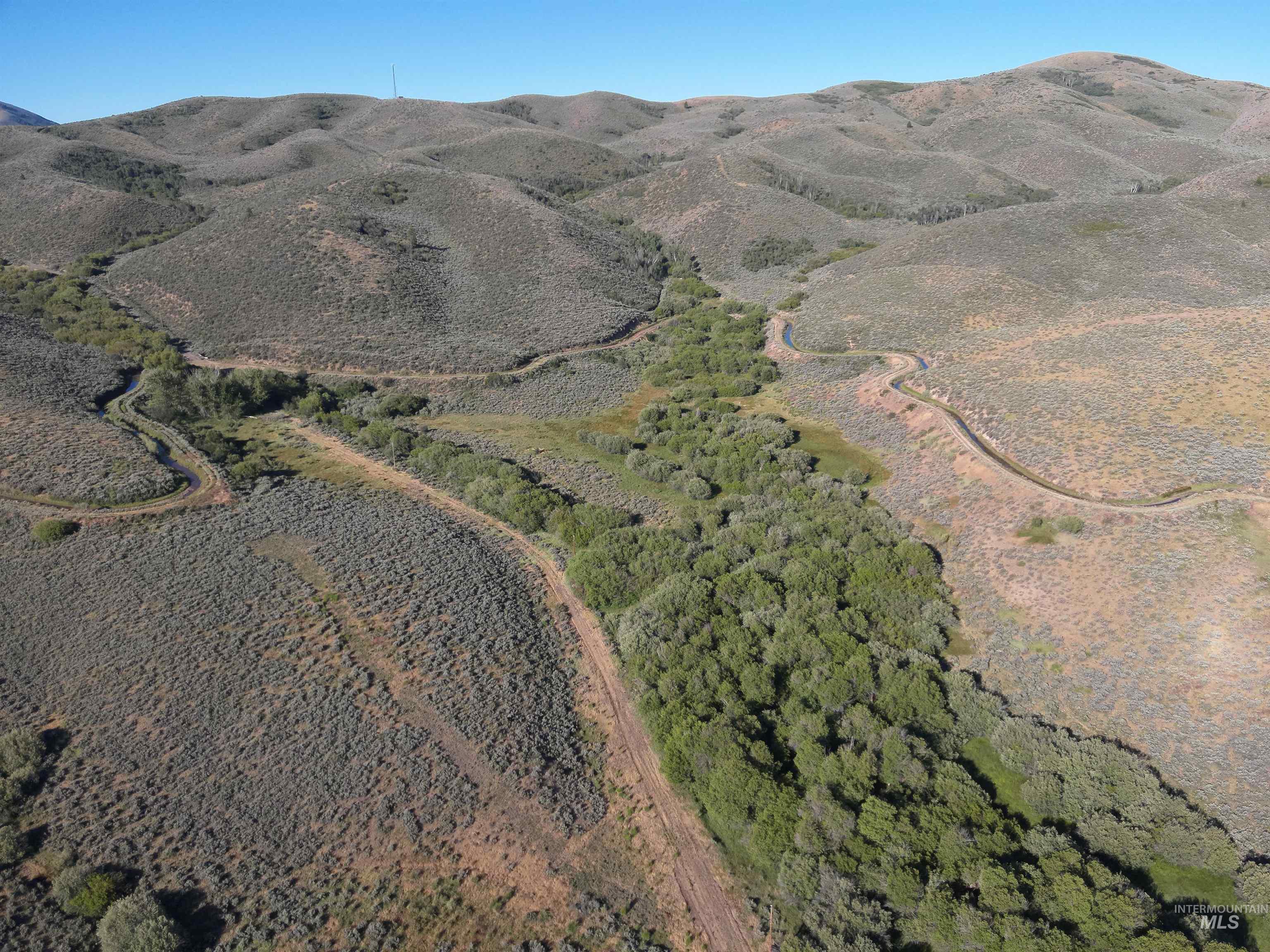 Tbd Dixie Creek Rd 365 Acres Property Photo 10