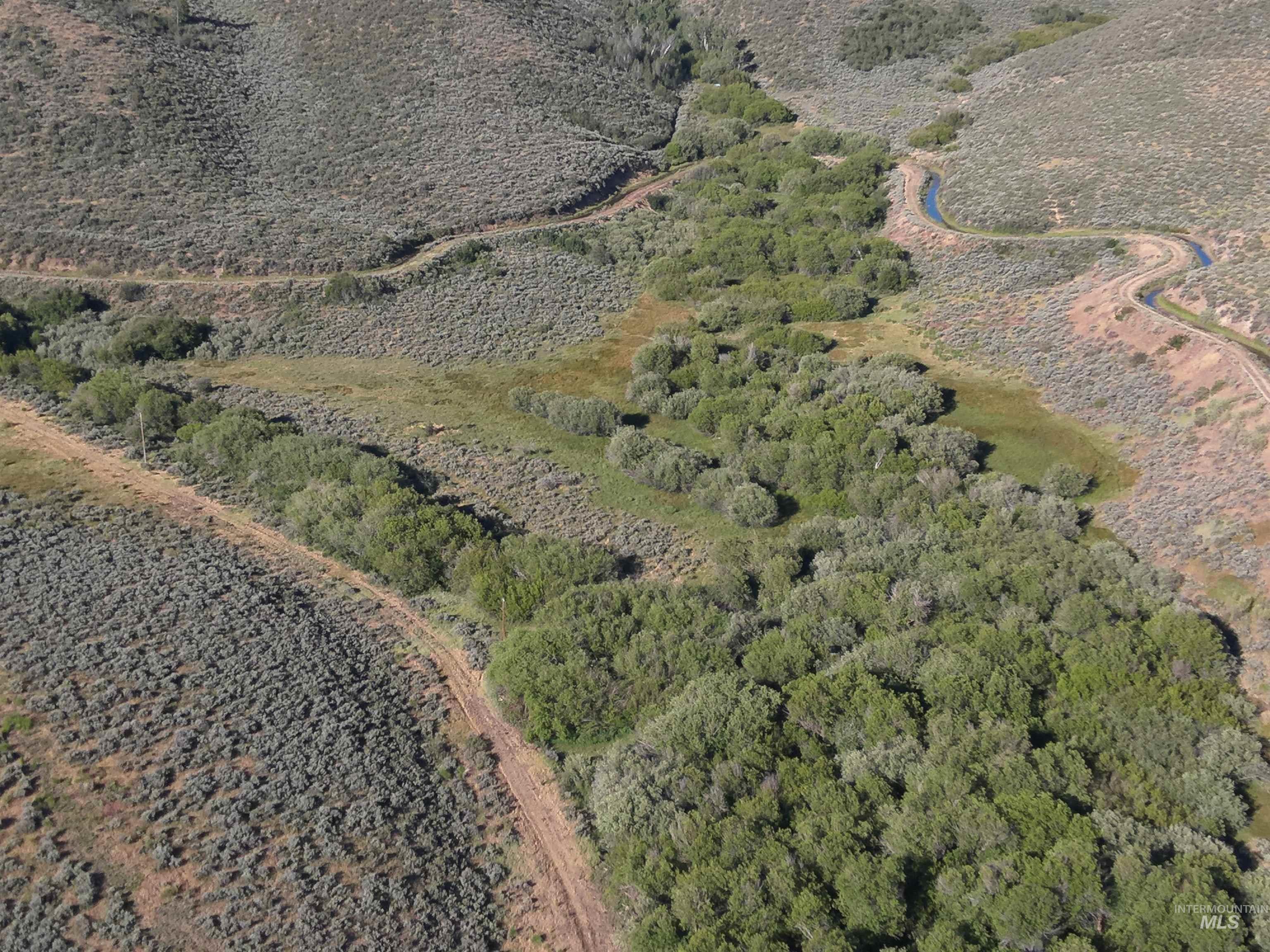 Tbd Dixie Creek Rd 365 Acres Property Photo 11