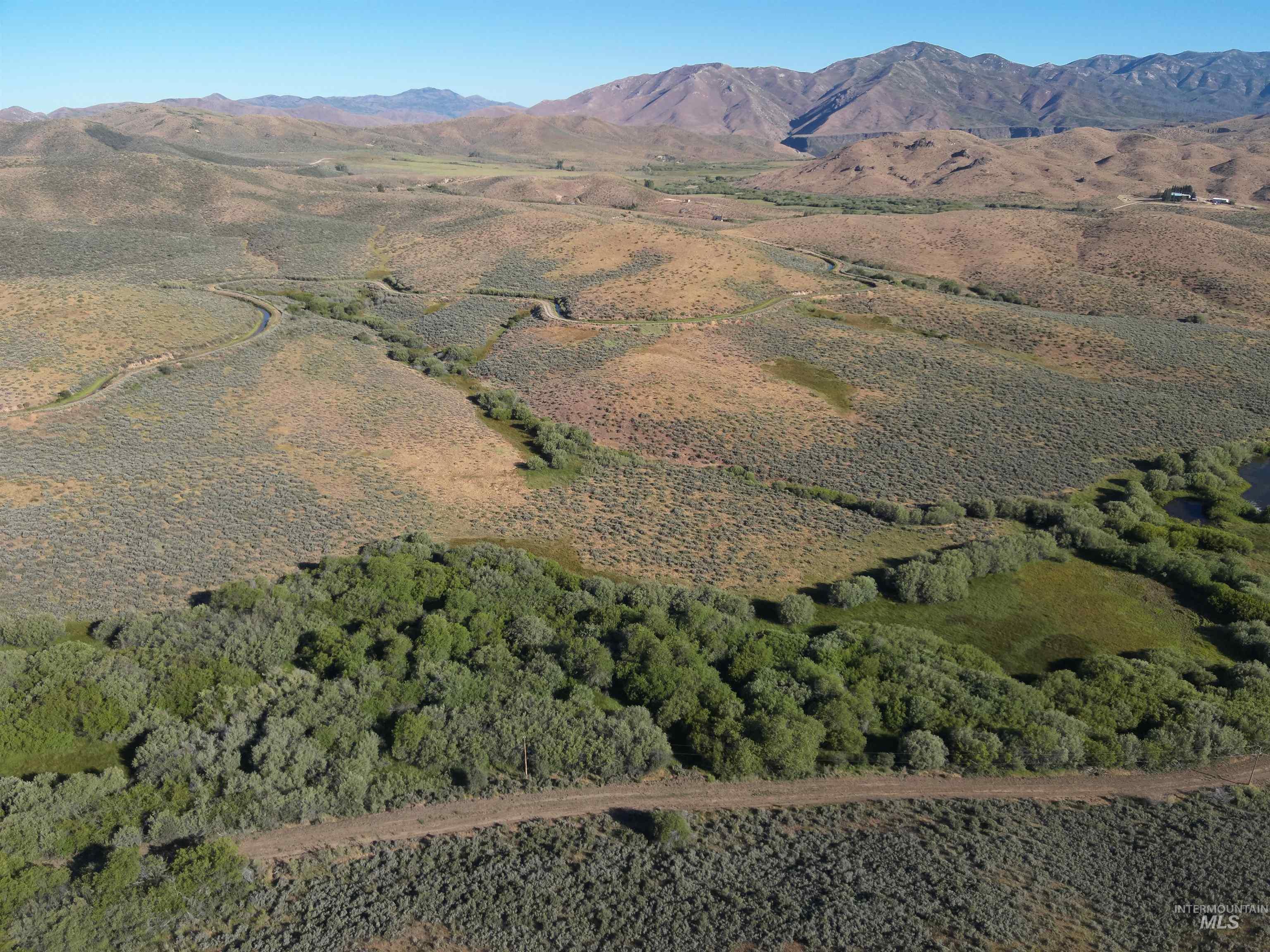 Tbd Dixie Creek Rd 365 Acres Property Photo 12
