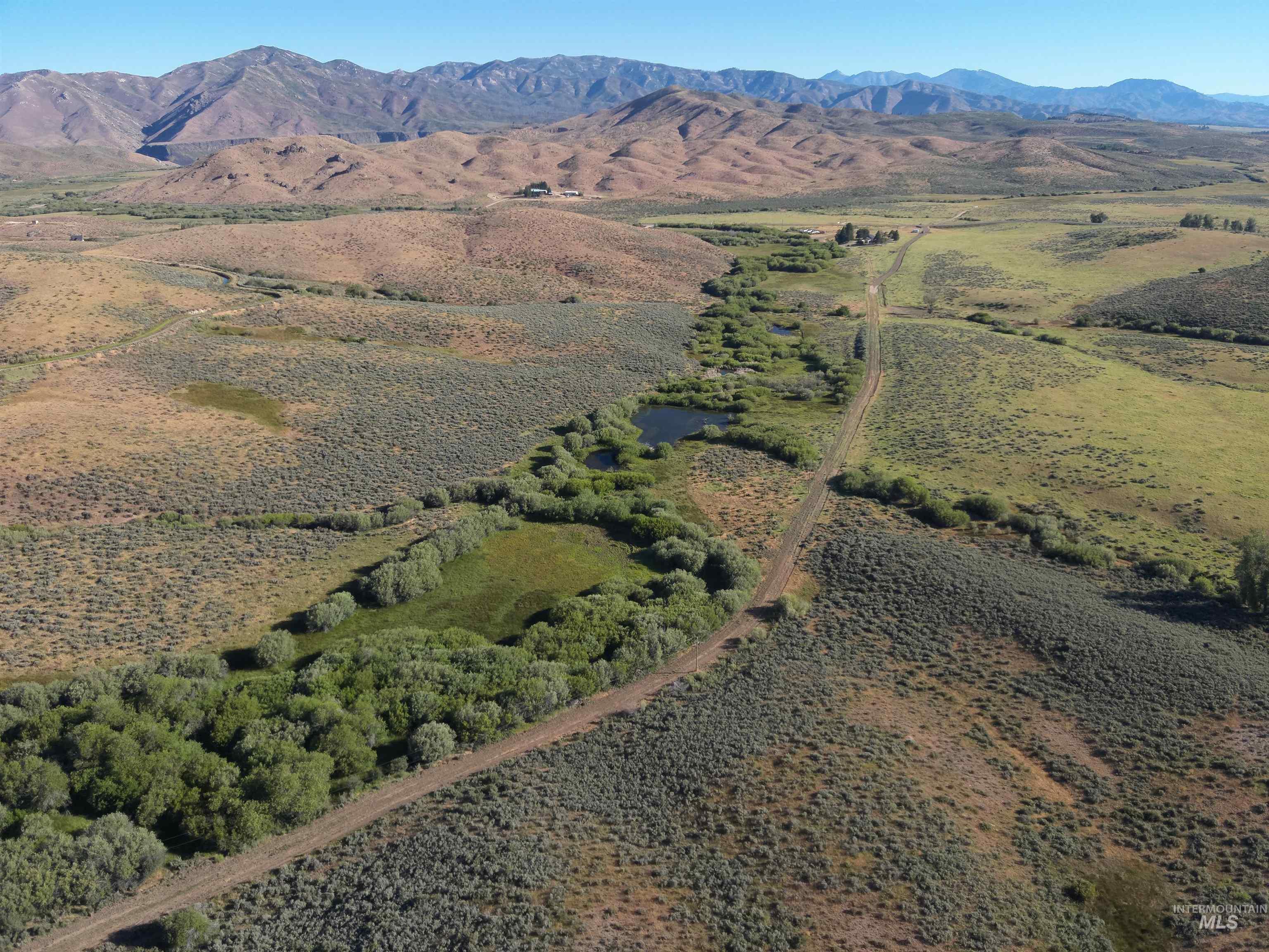 Tbd Dixie Creek Rd 365 Acres Property Photo 13
