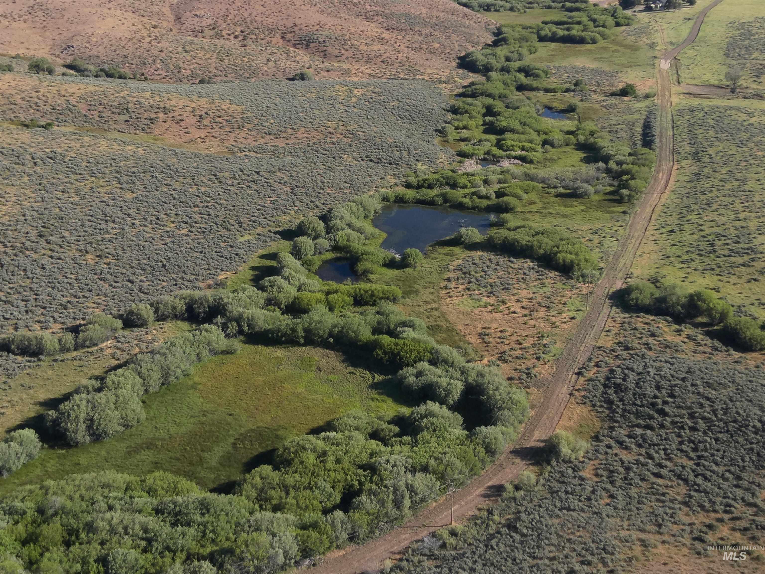 Tbd Dixie Creek Rd 365 Acres Property Photo 14
