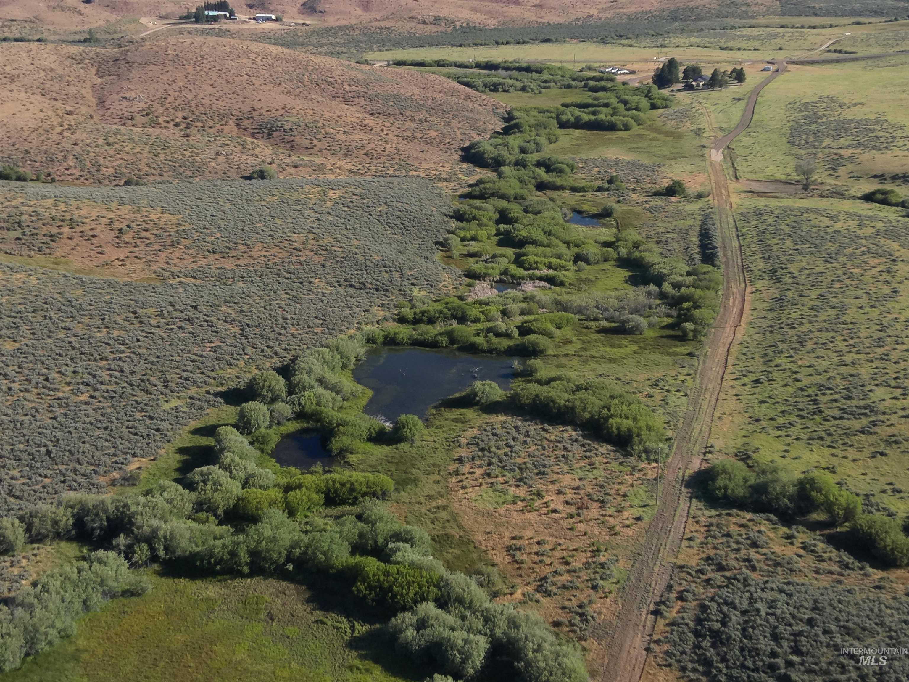Tbd Dixie Creek Rd 365 Acres Property Photo 15