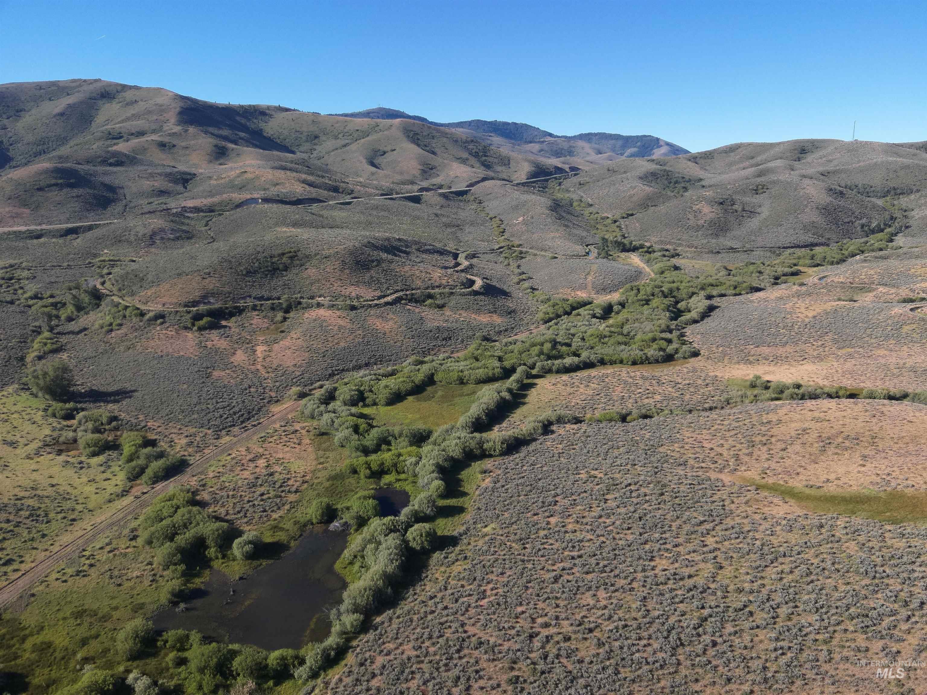 Tbd Dixie Creek Rd 365 Acres Property Photo 16