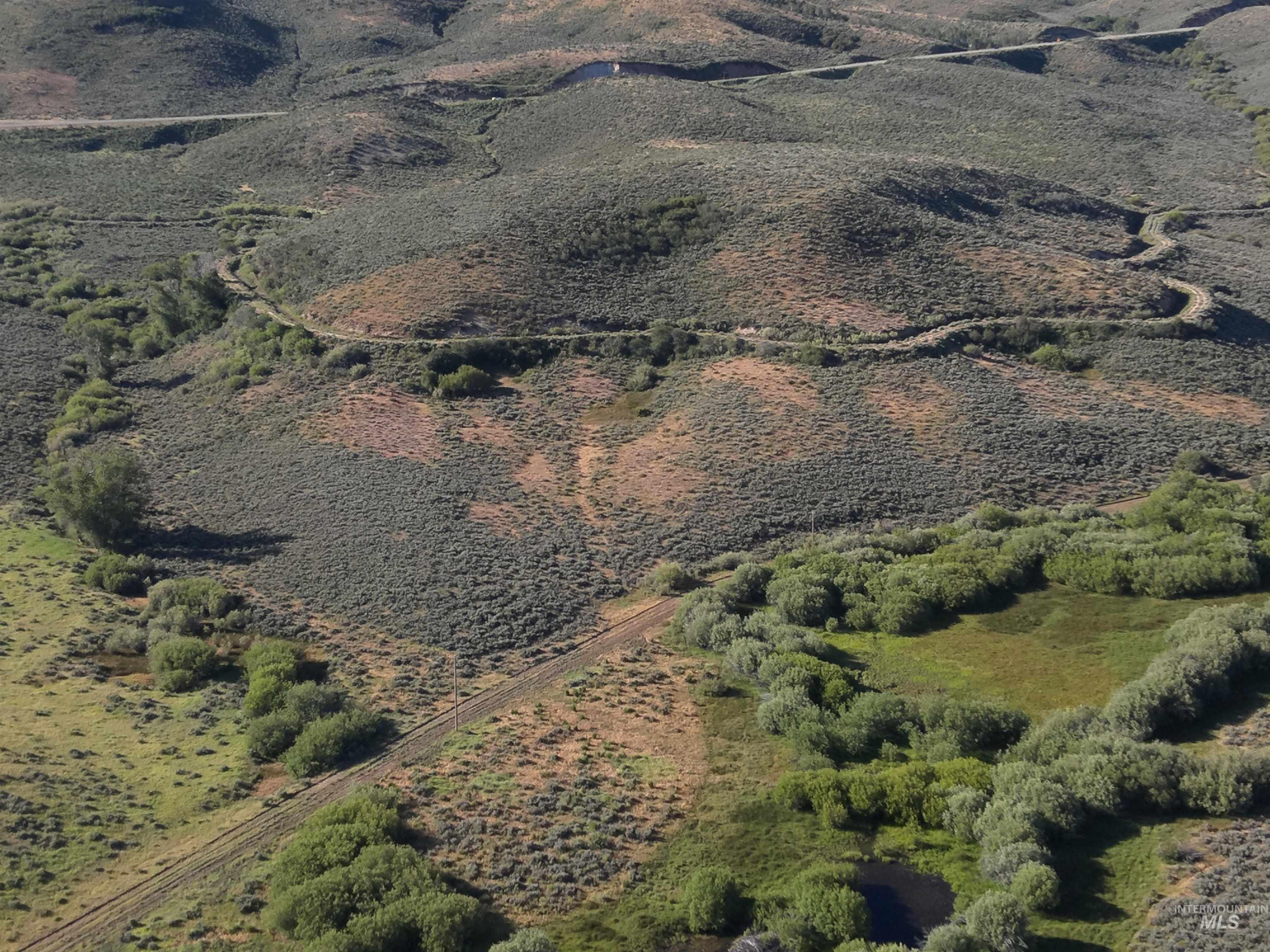Tbd Dixie Creek Rd 365 Acres Property Photo 18