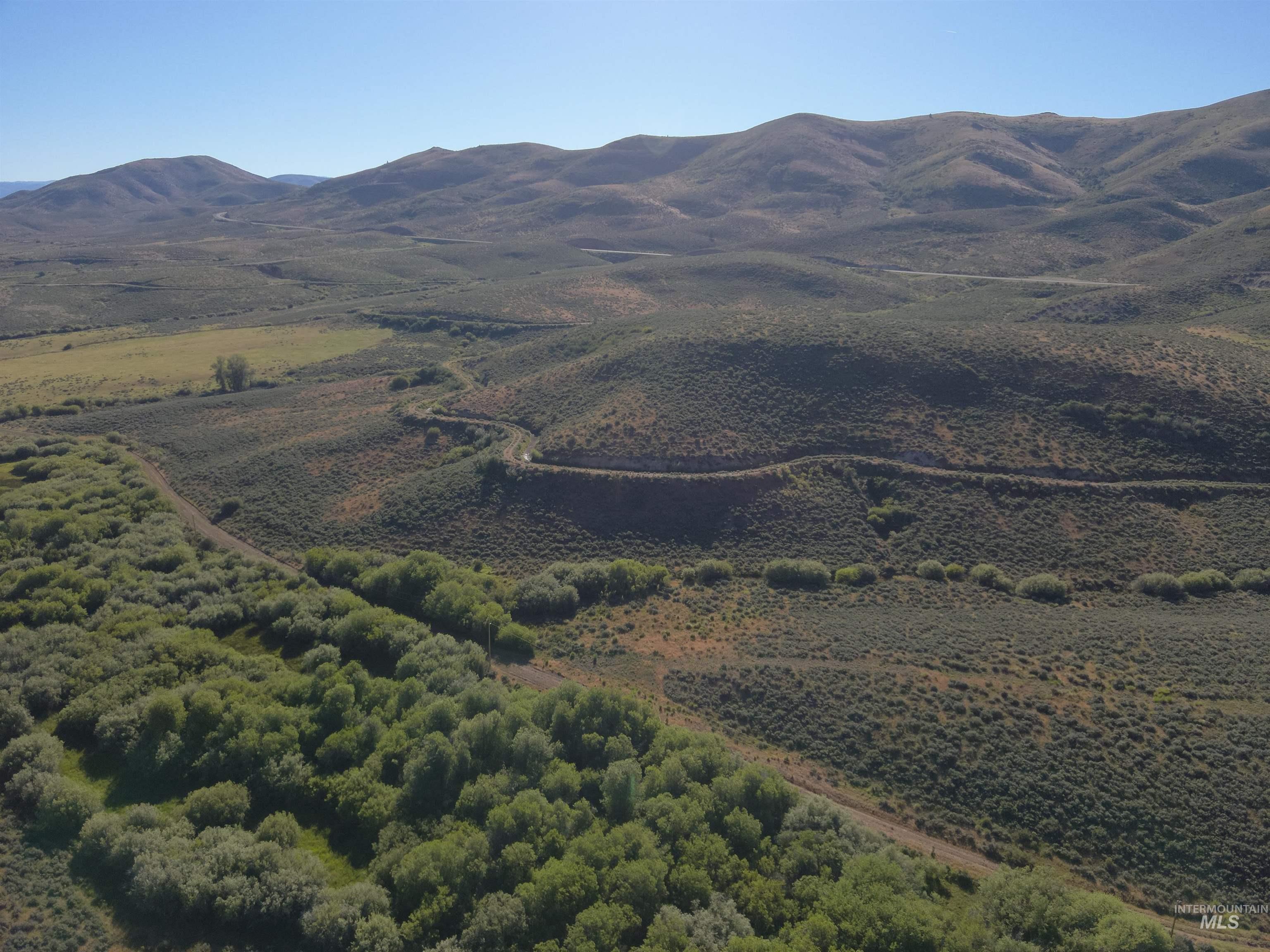 Tbd Dixie Creek Rd 365 Acres Property Photo 19