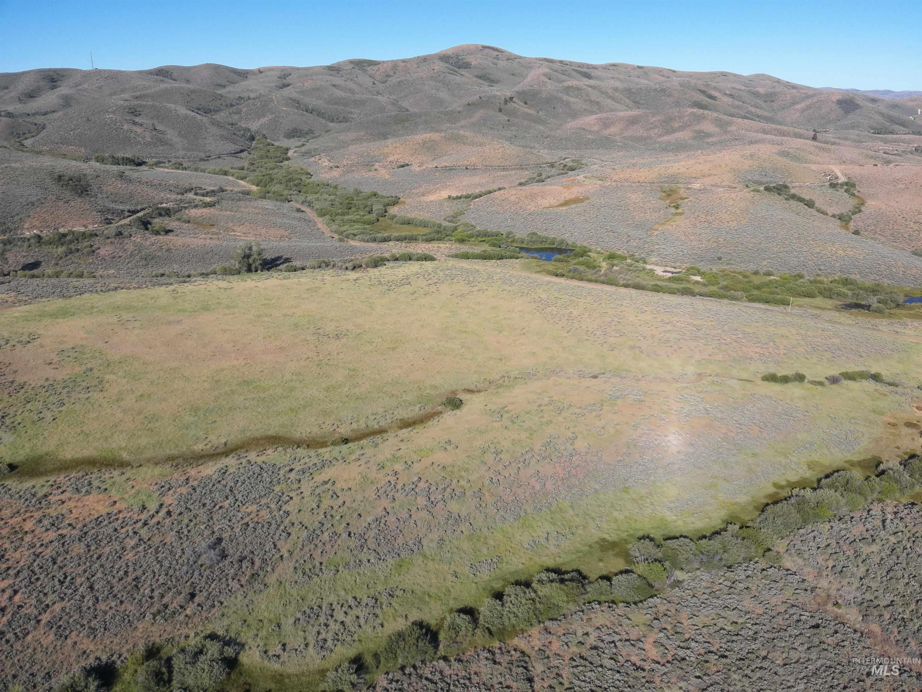 Tbd Dixie Creek Rd 365 Acres Property Photo 22