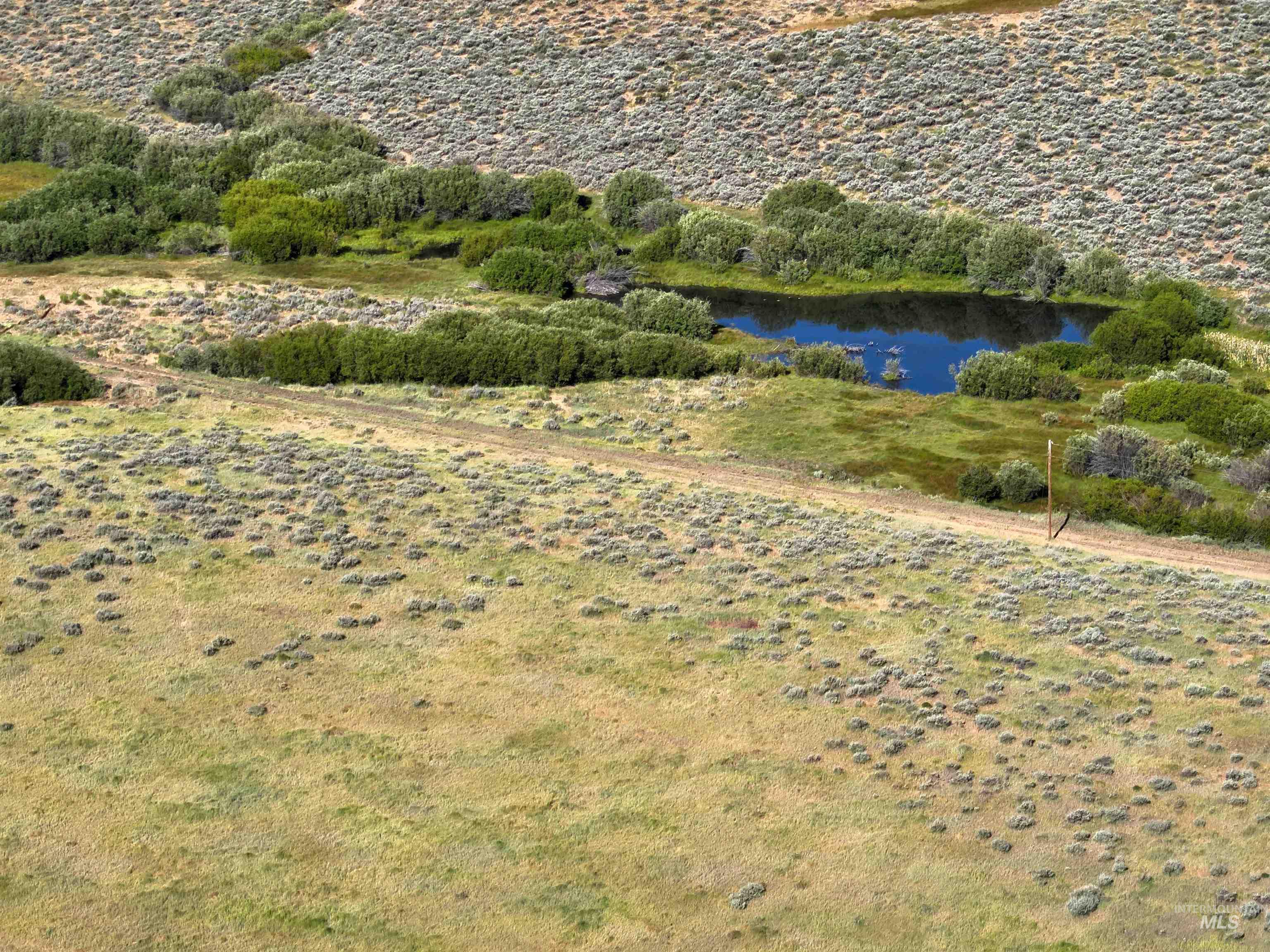 Tbd Dixie Creek Rd 365 Acres Property Photo 23