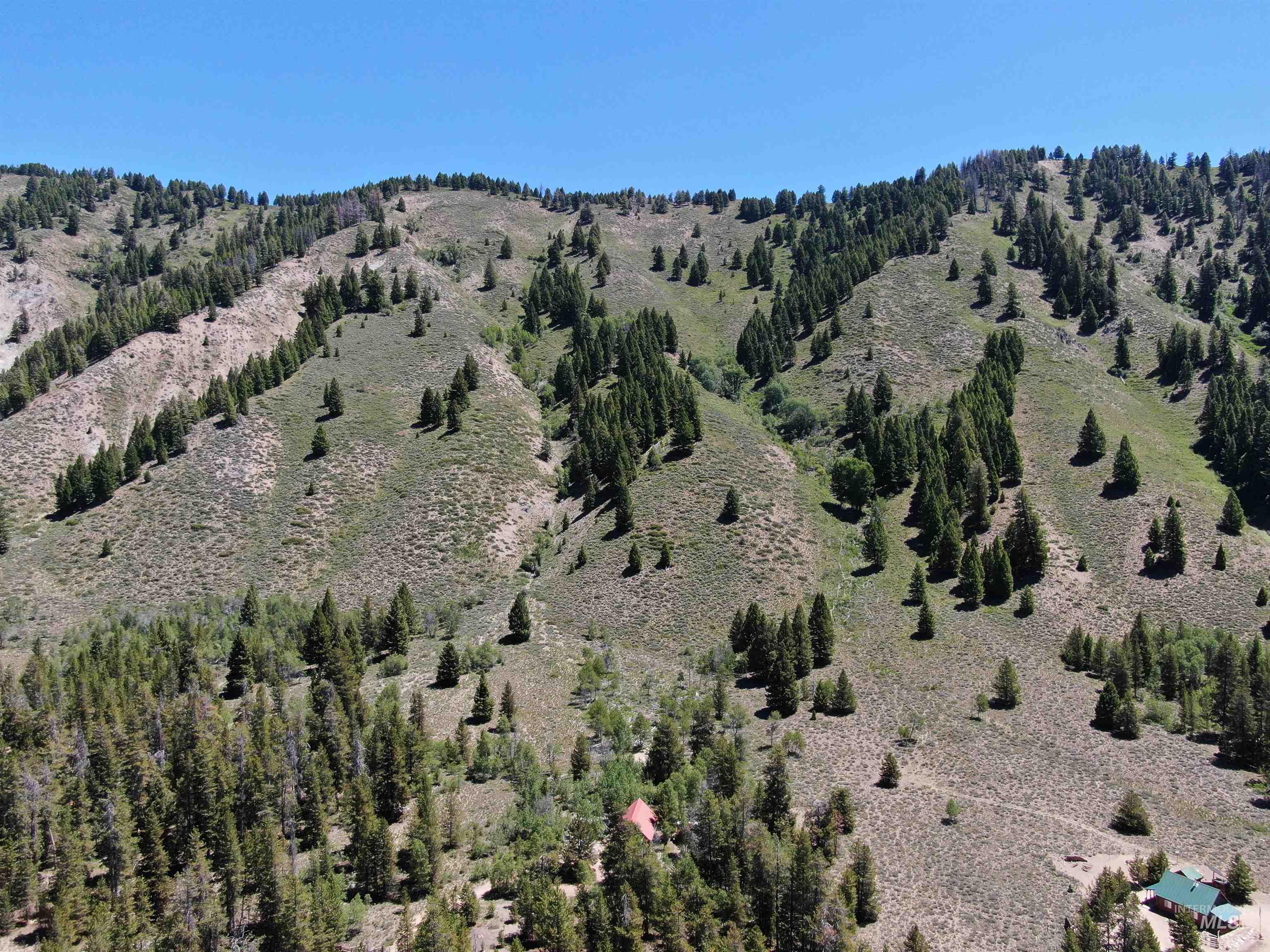 2049 Fleck Summit Rd Property Photo 18