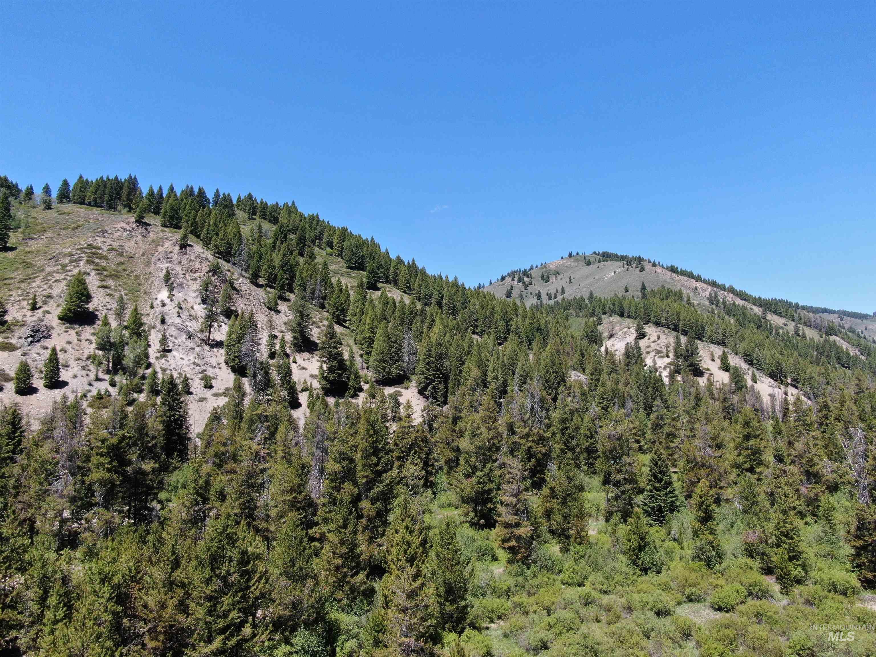 2049 Fleck Summit Rd Property Photo 25
