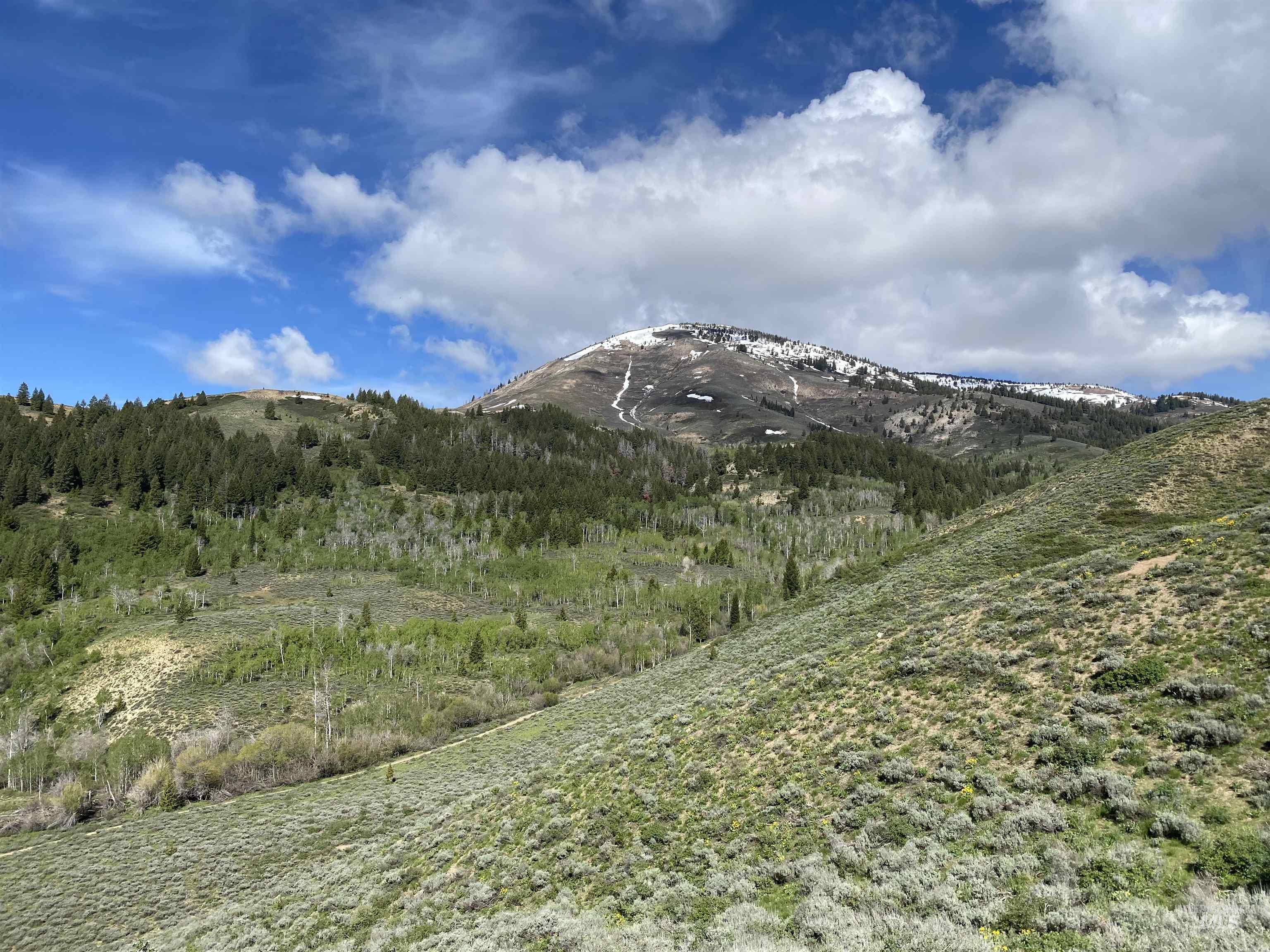 2049 Fleck Summit Rd Property Photo 40