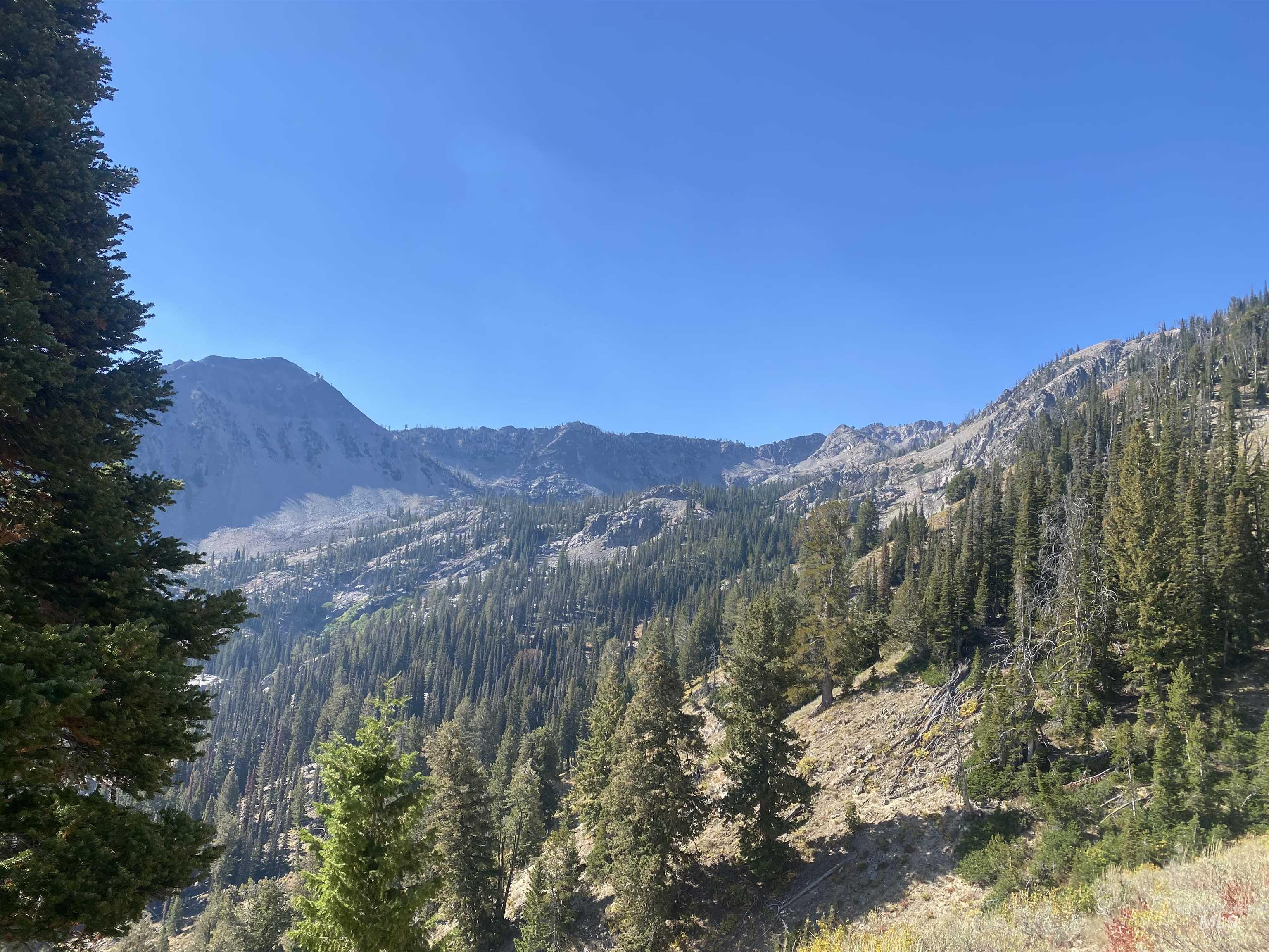 2049 Fleck Summit Rd Property Photo 47