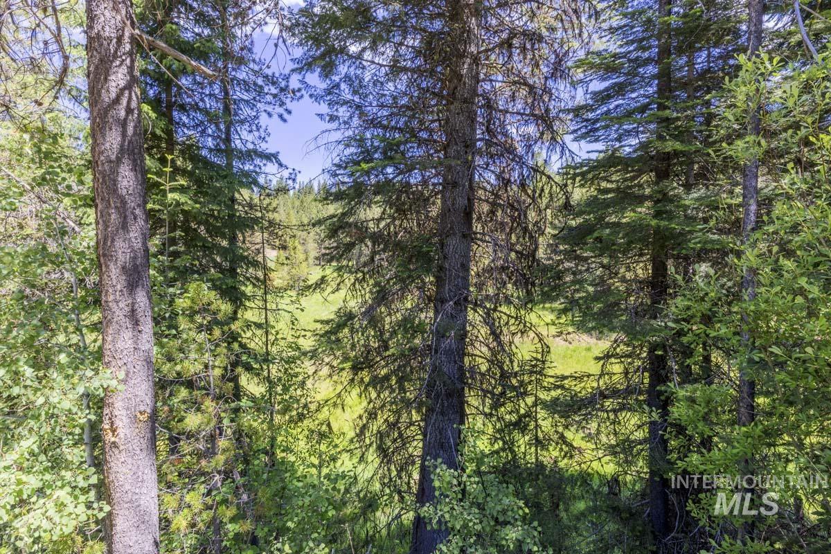 178 Tripod View Drive Property Photo 4