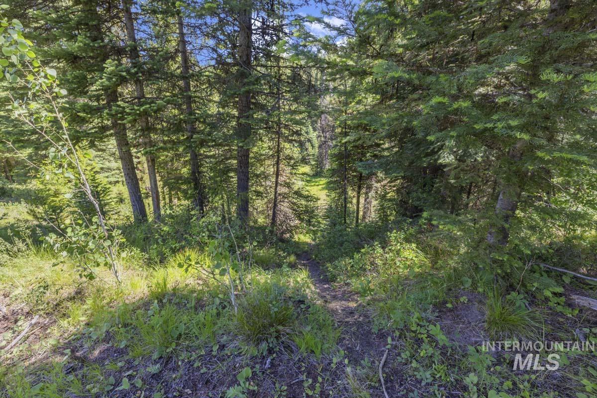 178 Tripod View Drive Property Photo 6