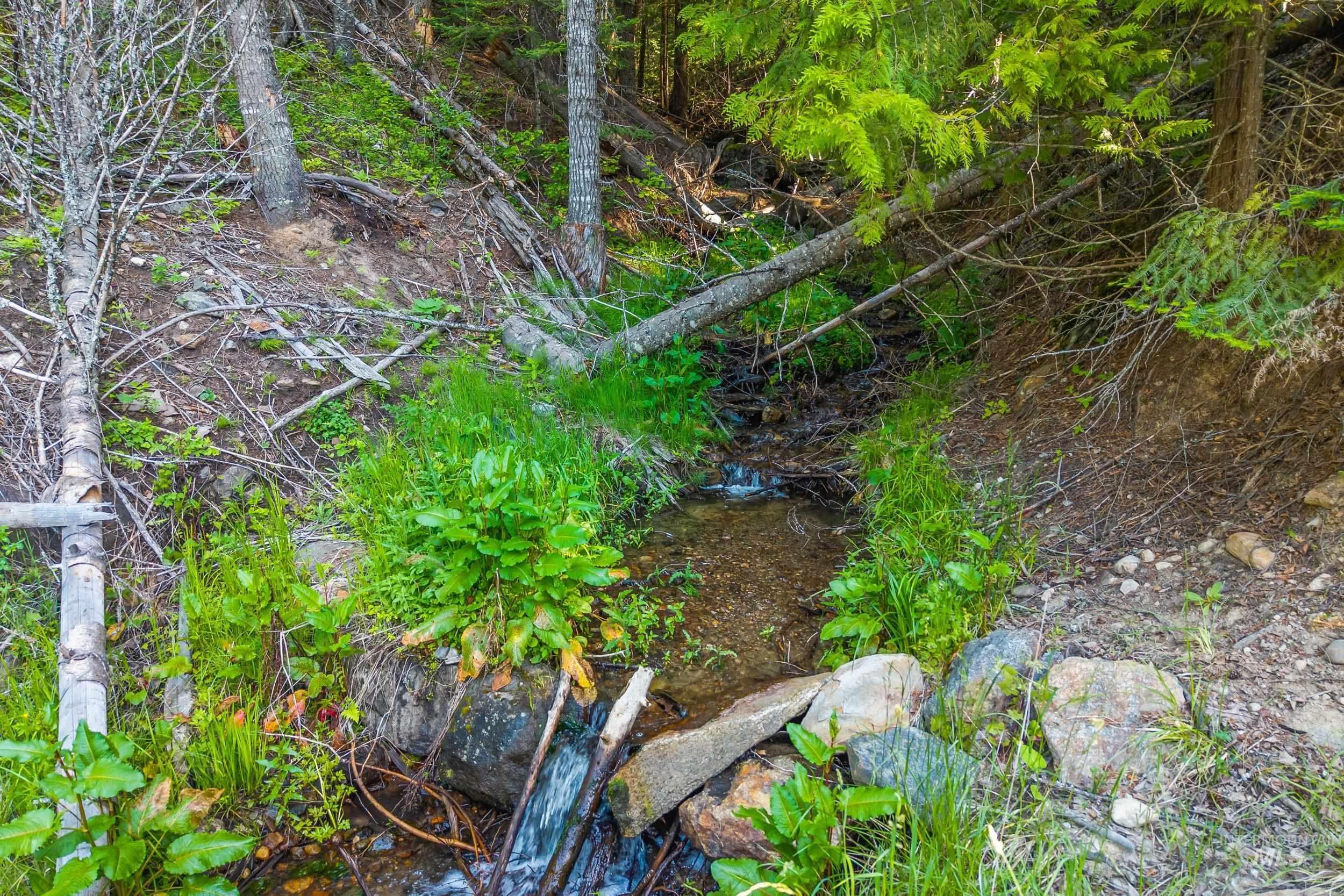 Abc Gold Cup Rd Property Photo 8