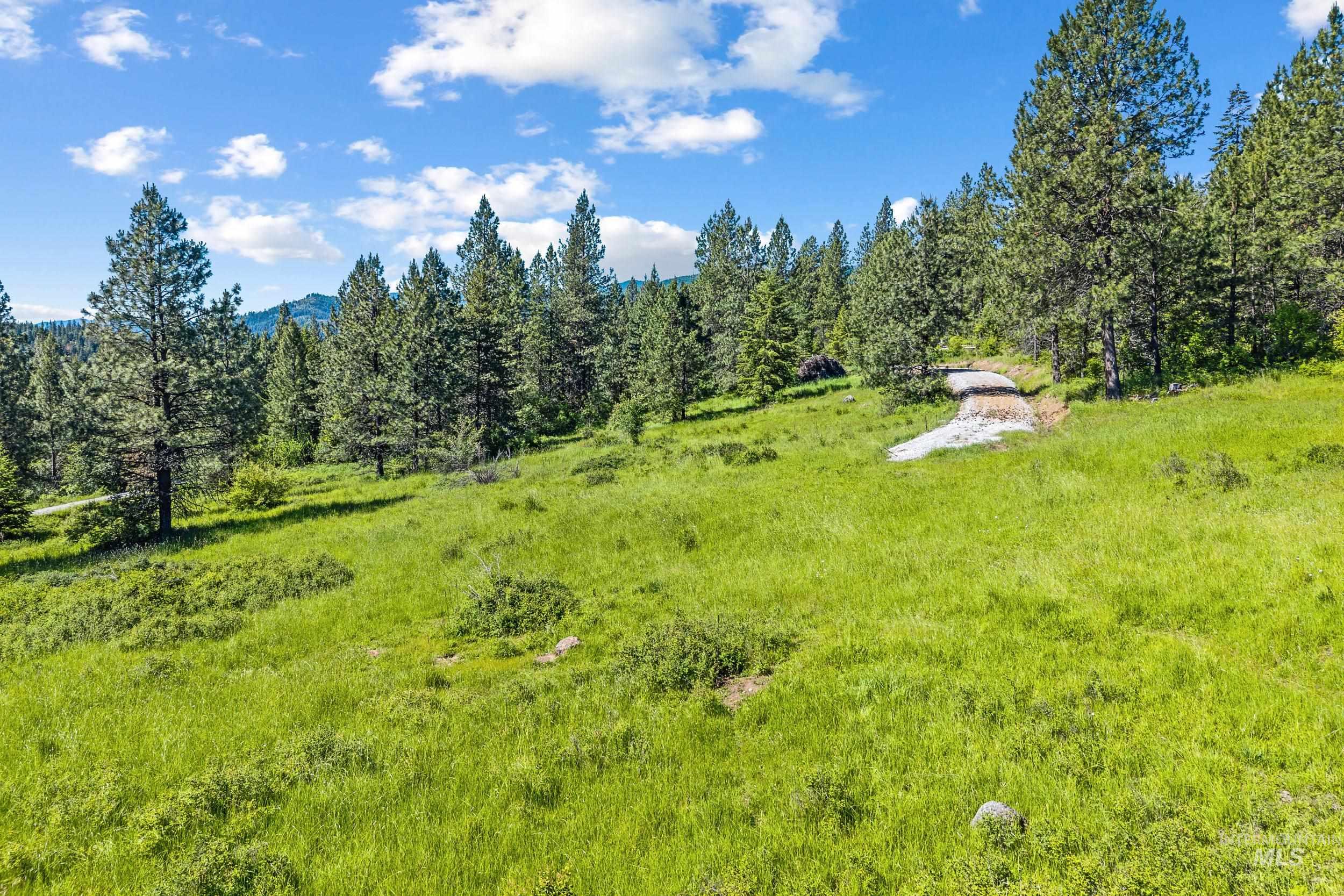 Abc Gold Cup Rd Property Photo 16