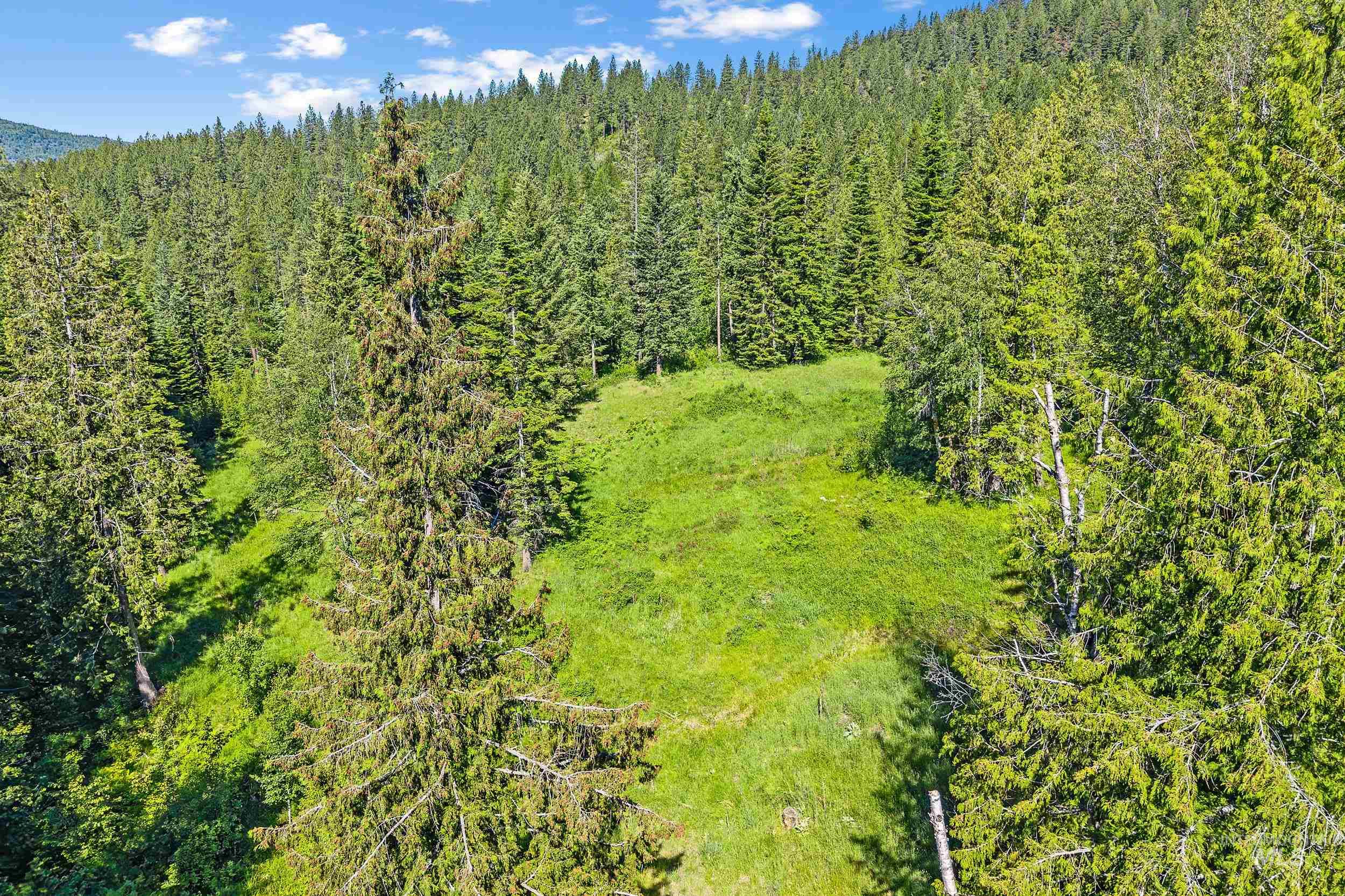 Abc Gold Cup Rd Property Photo 18