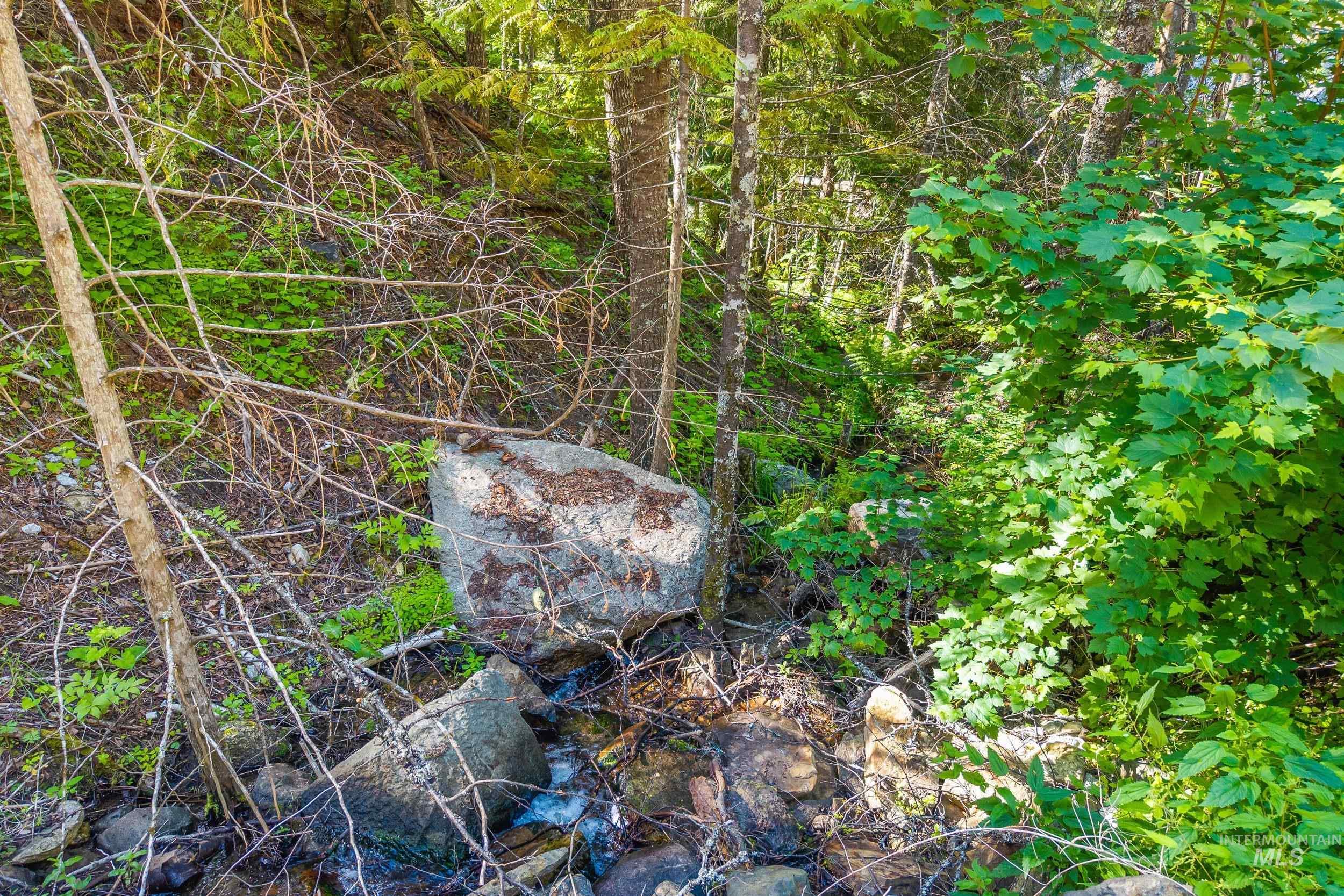 Abc Gold Cup Rd Property Photo 20