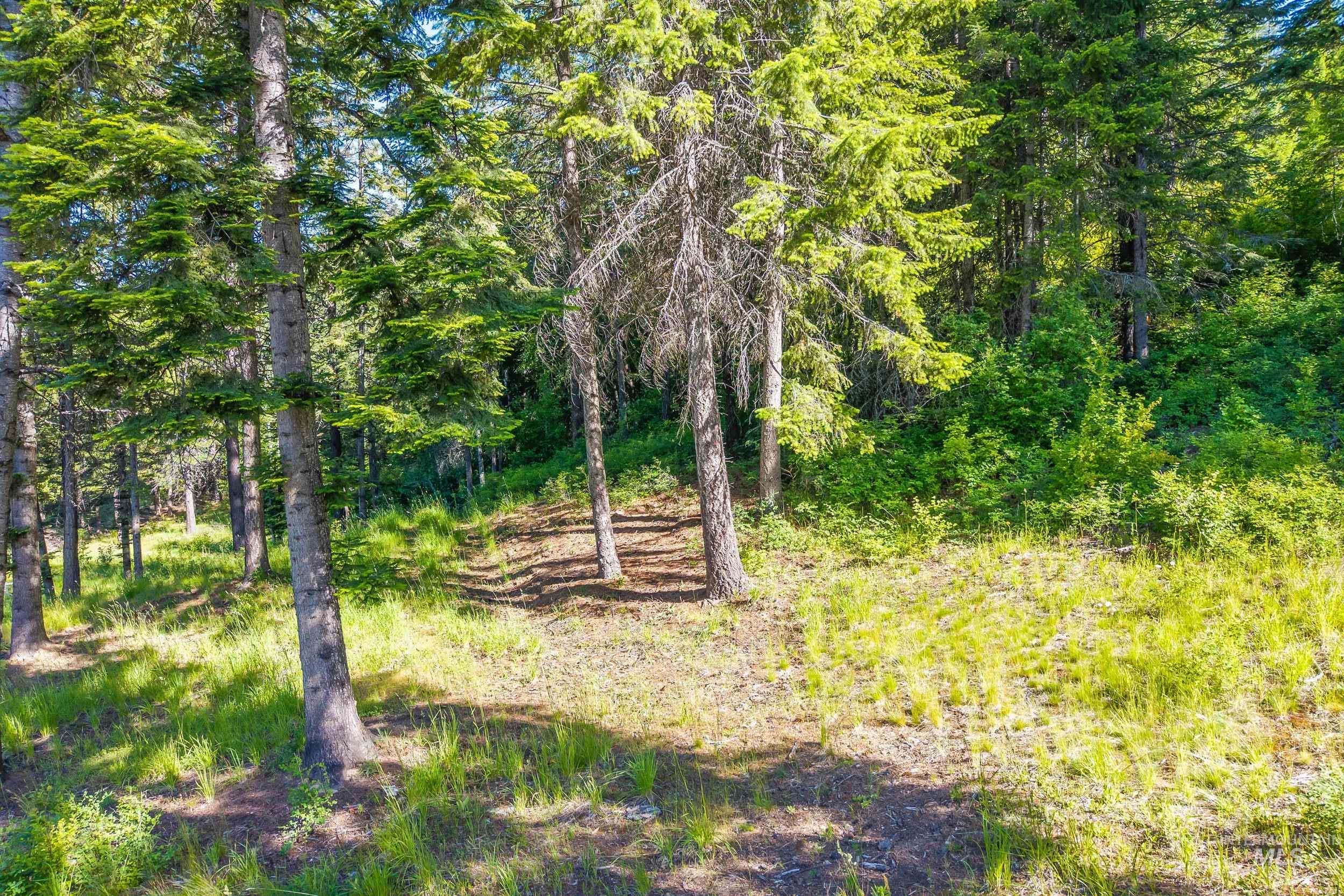 Abc Gold Cup Rd Property Photo 21