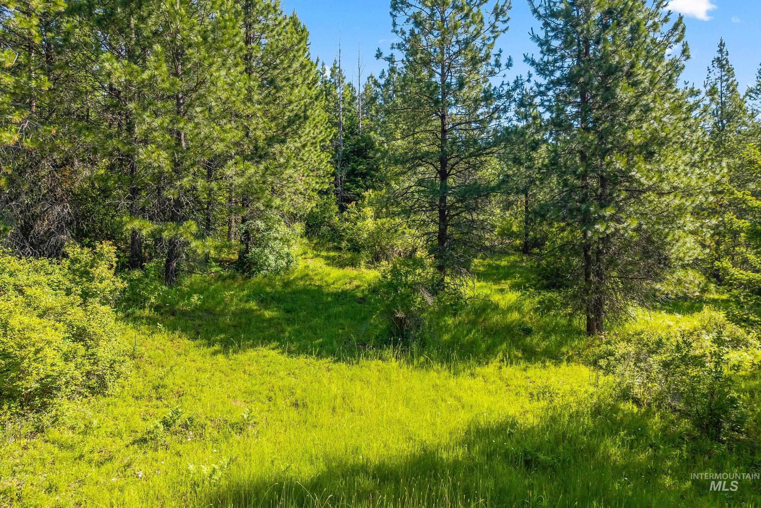 Abc Gold Cup Rd Property Photo 22