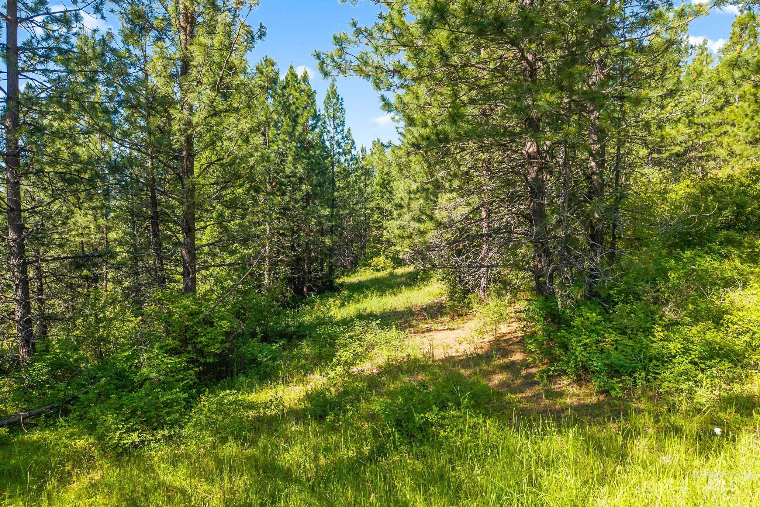 Abc Gold Cup Rd Property Photo 23