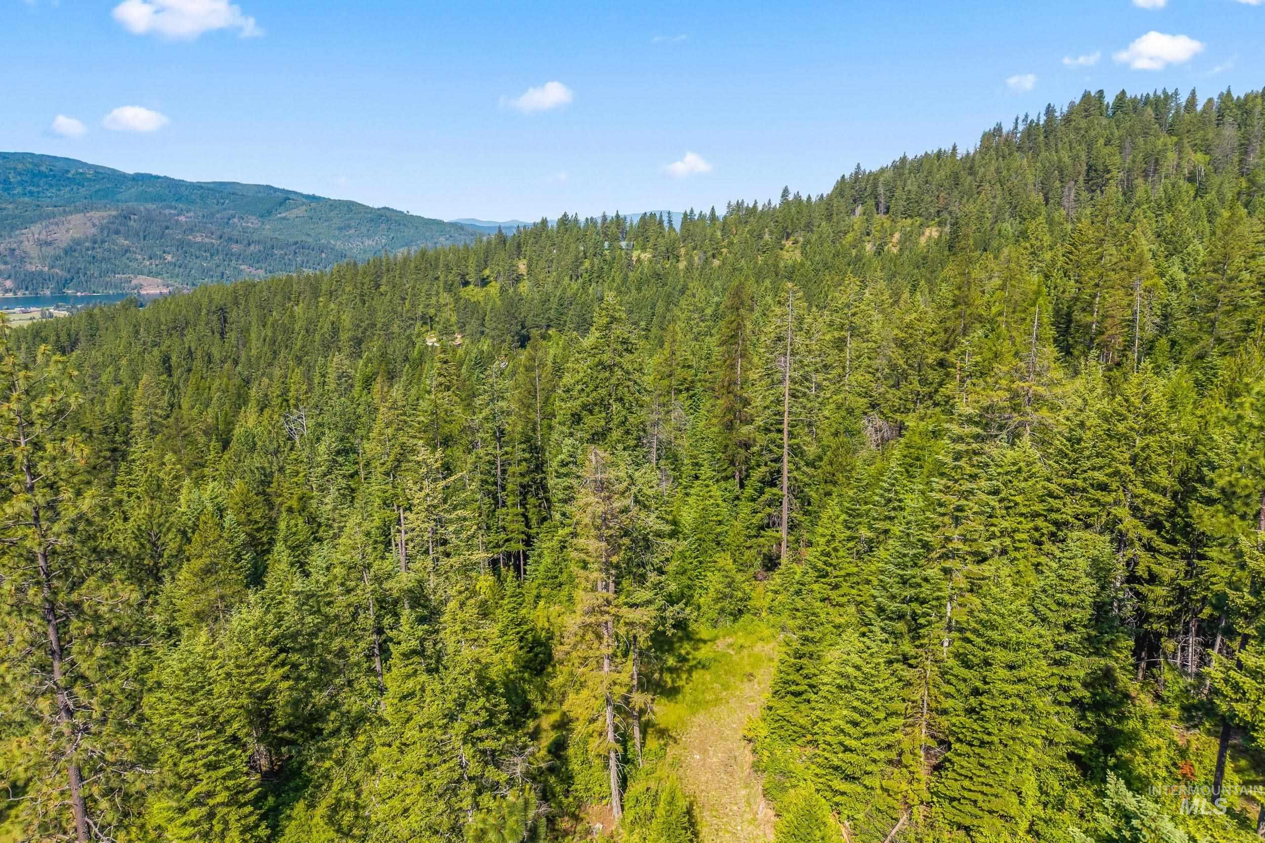 Abc Gold Cup Rd Property Photo 24